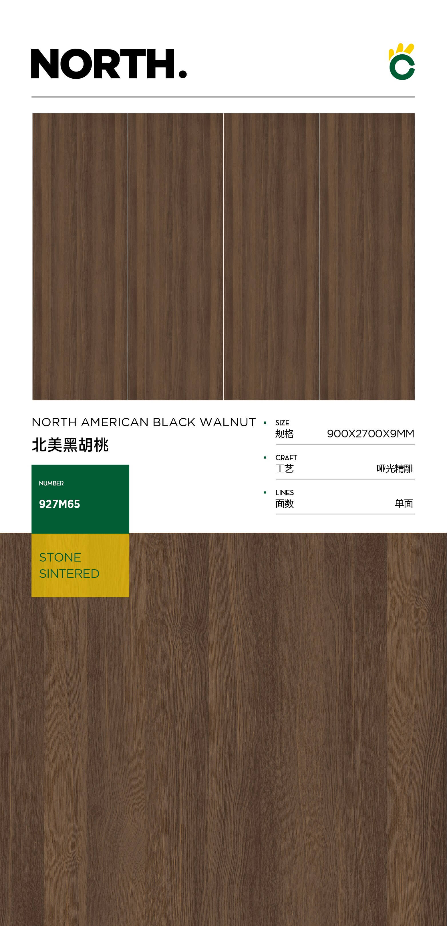 North American black walnut