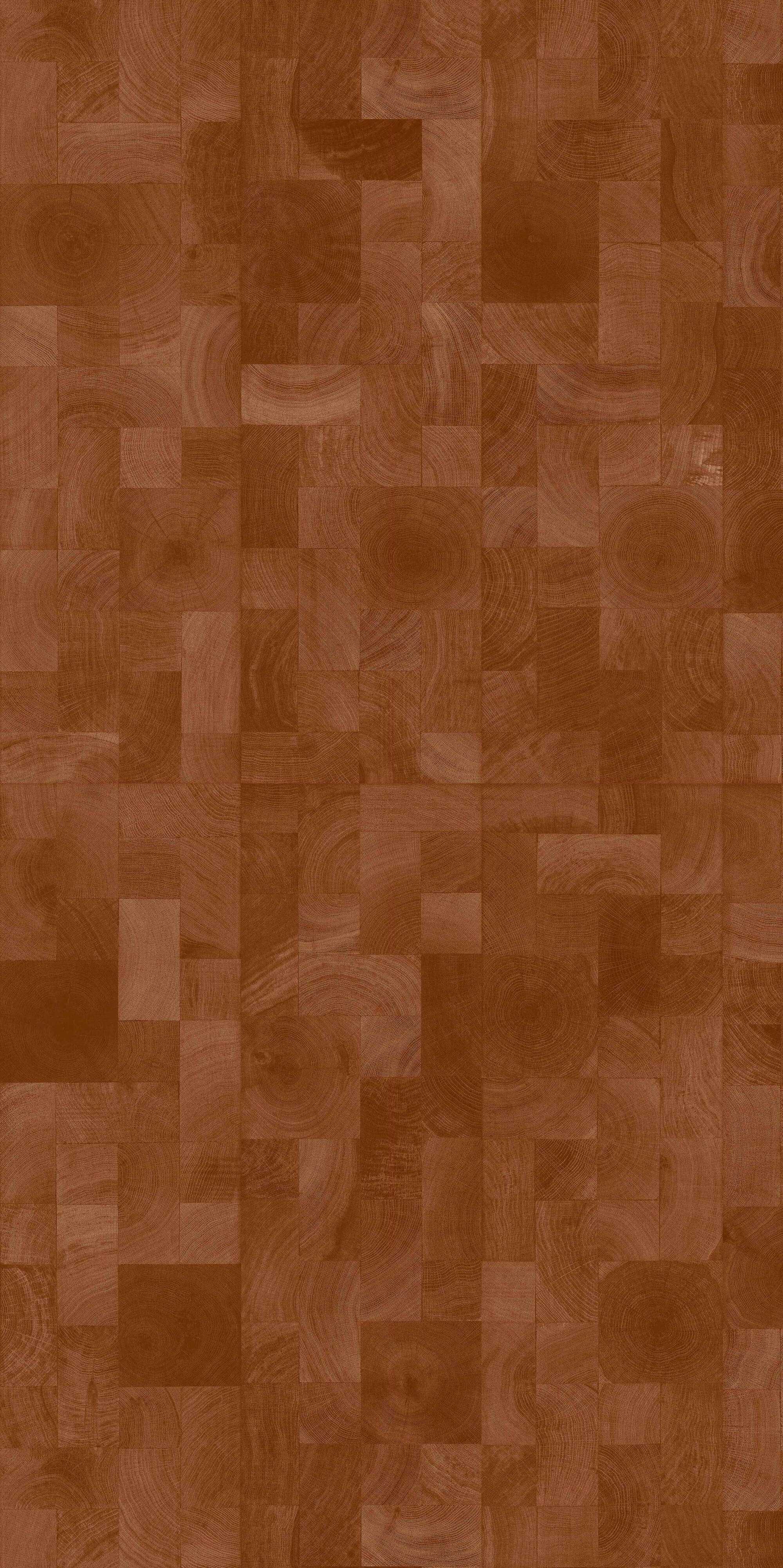 Ke Yu's twilight years BNL1292 image 2