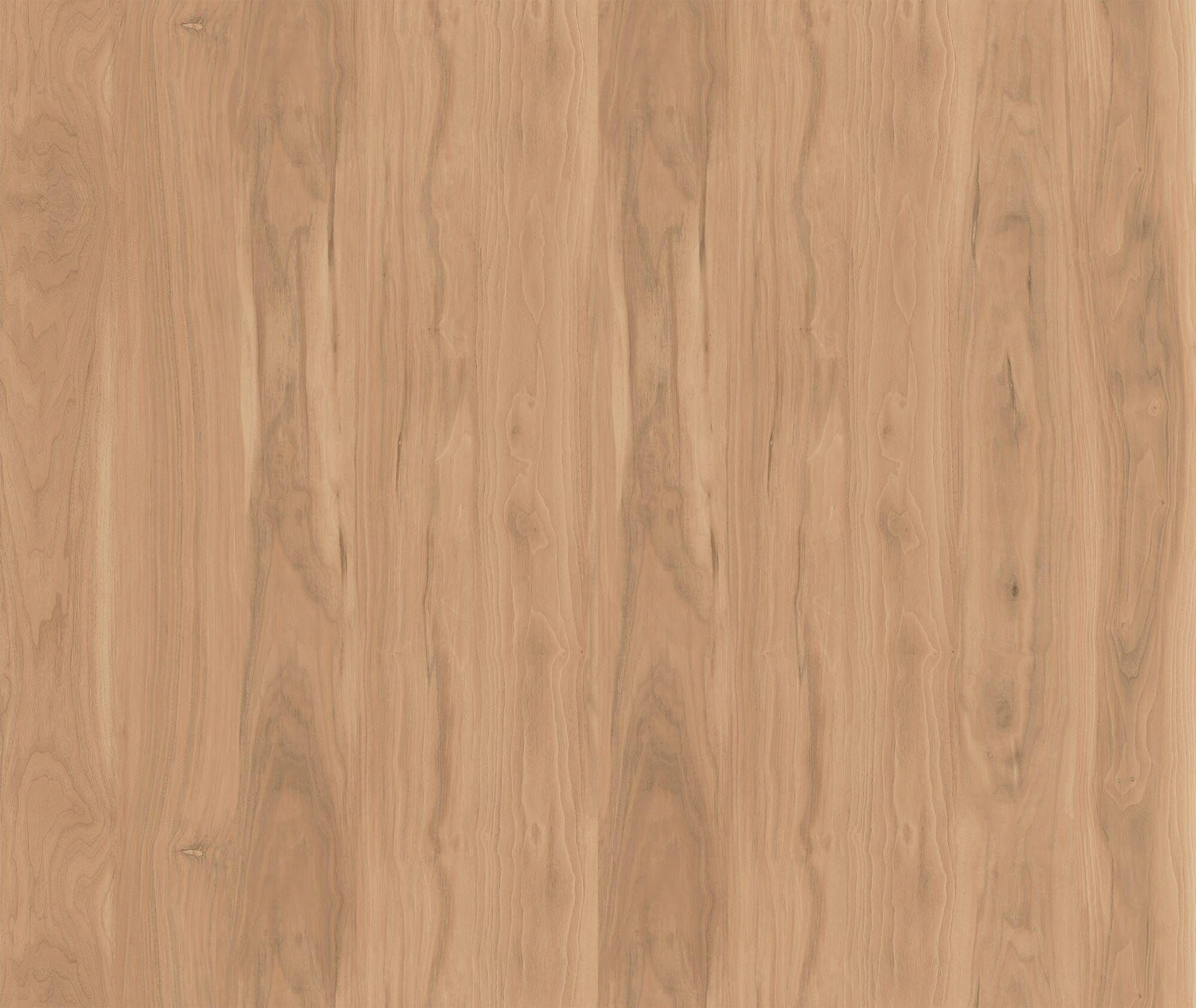 Lan LinSuying BNL135808 image 2
