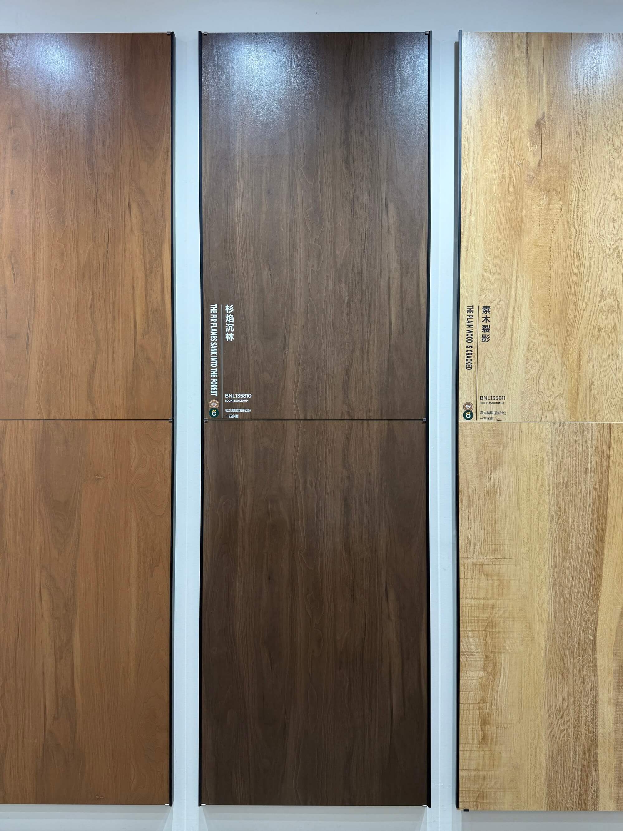 fir flames sinking in the forest BNL135810 image 3
