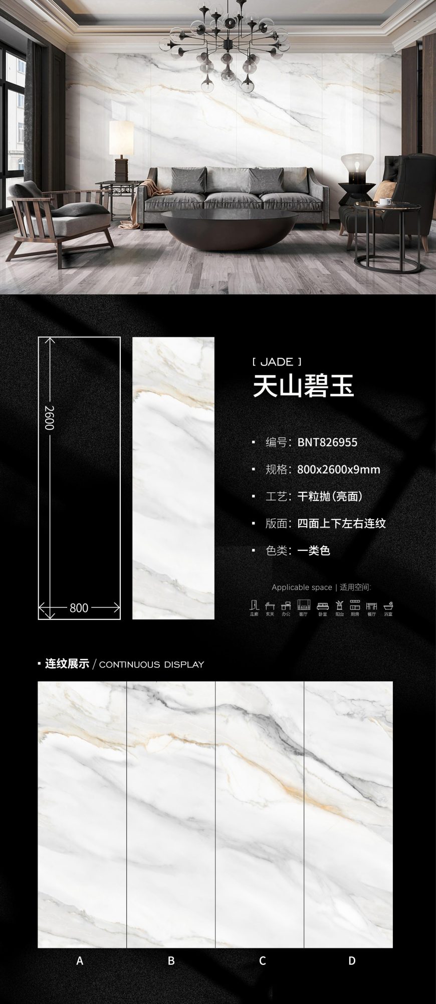 Jaspe de Tianshan BNT826955 image 1