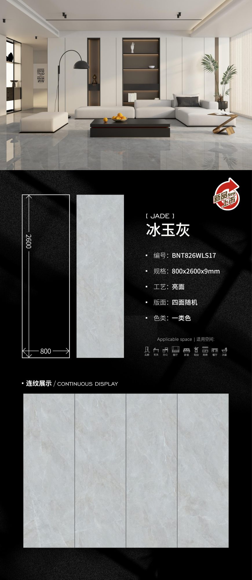 ice jade gray BNT826WLS17 image 1