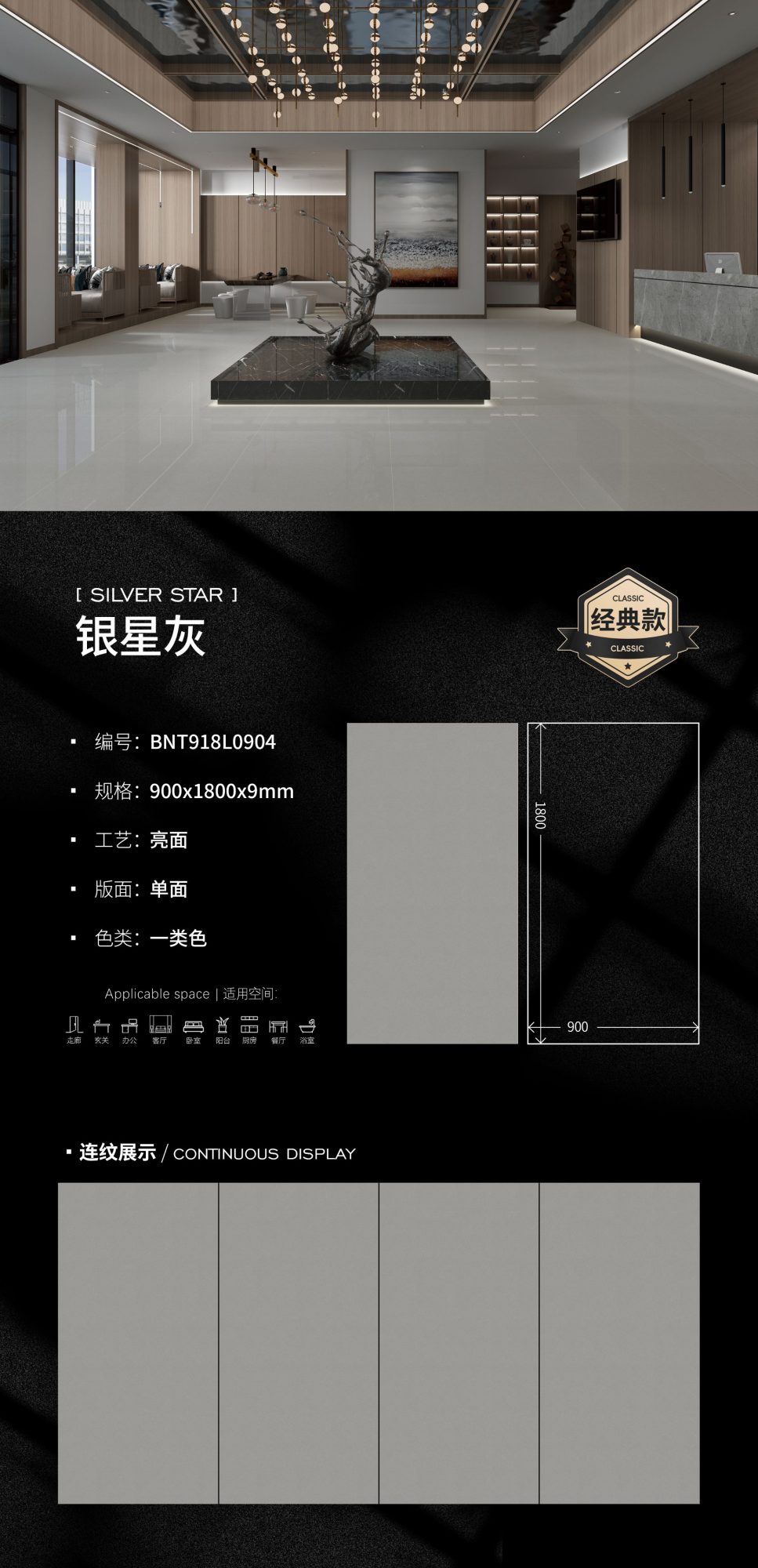 grigio stella argento BNT918L0904 image 1