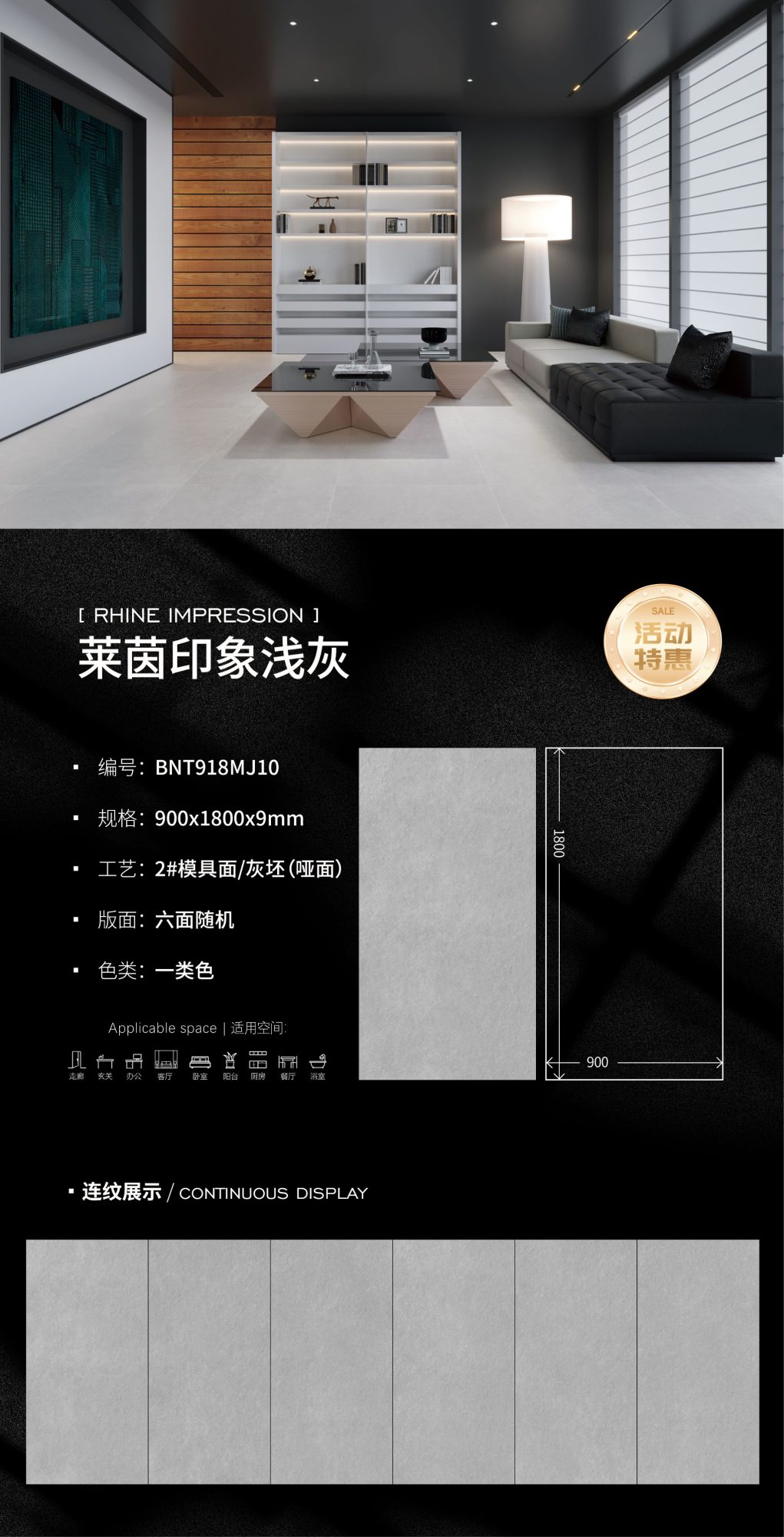 Rhine impression light gray BNT918MJ10 image 1