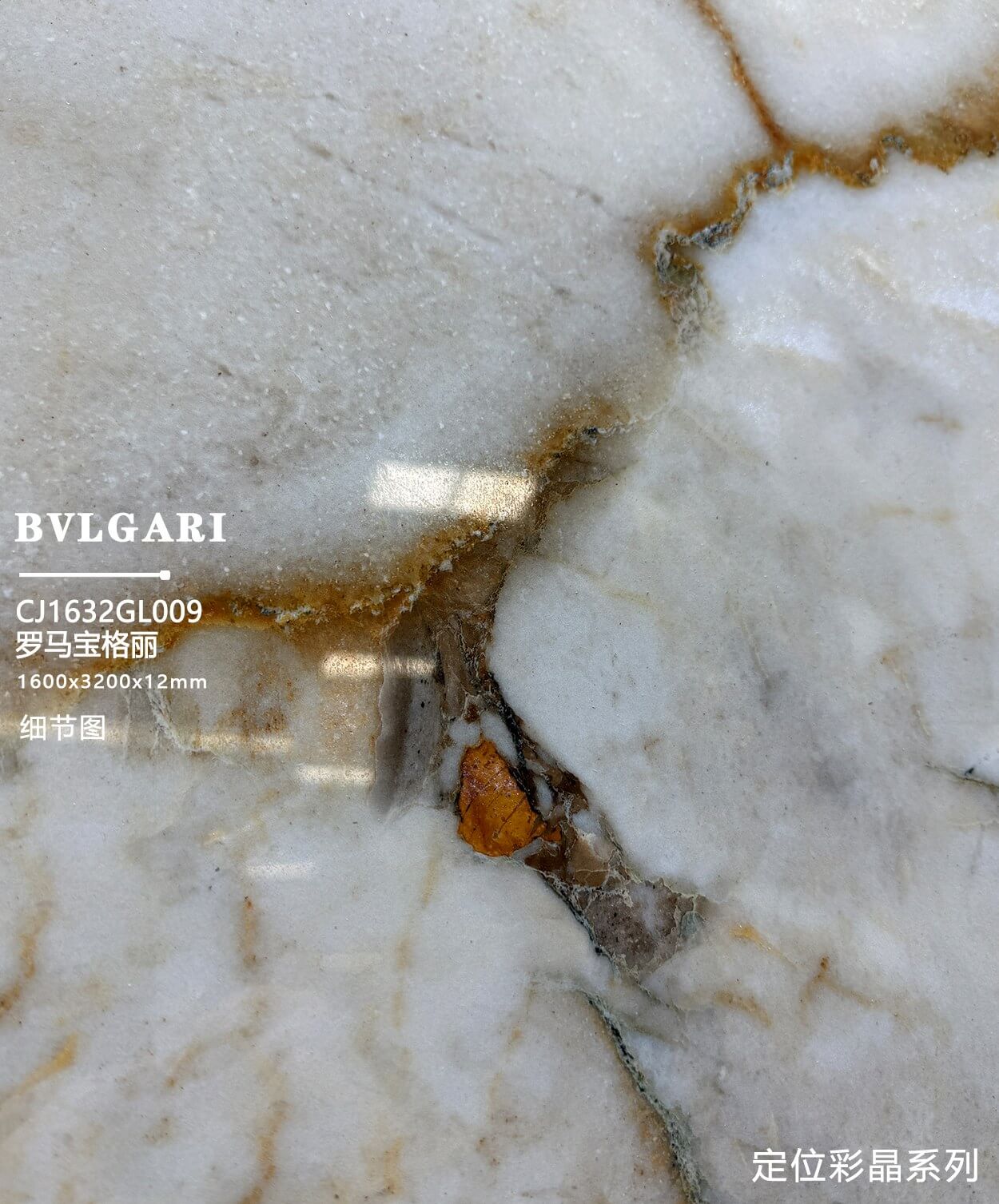 Bvlgari Rome CJ1632GL009 image 3