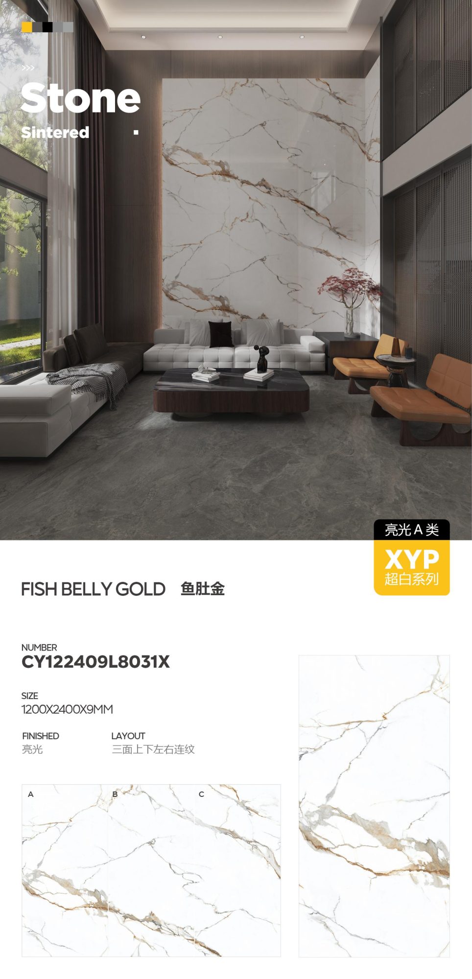 Fischbauchgold CY122409L8031X image 1