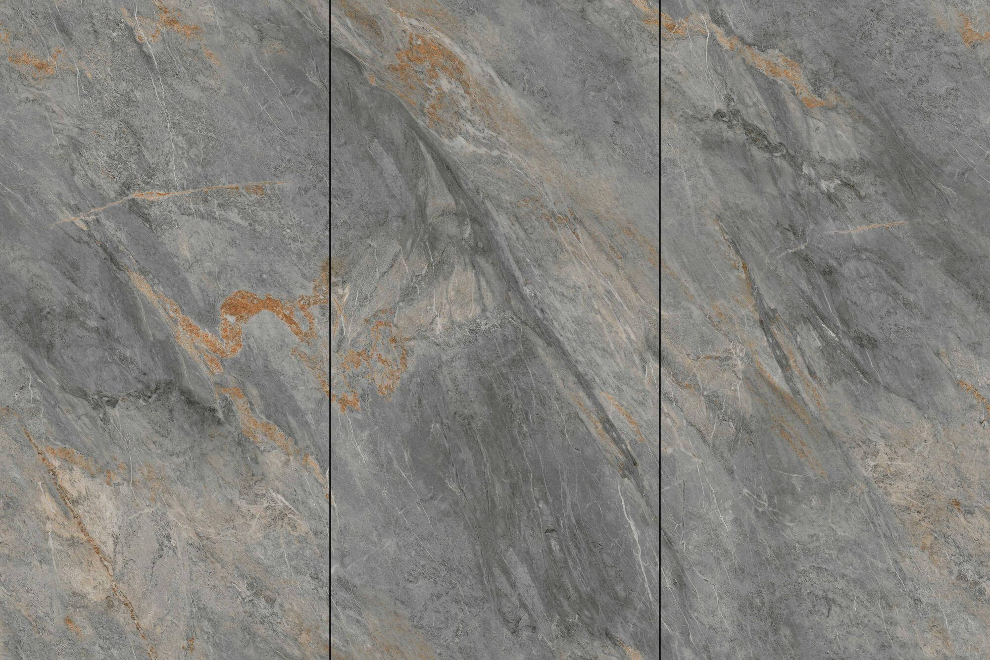 Van Gogh Gray CY122409L8126X image 2