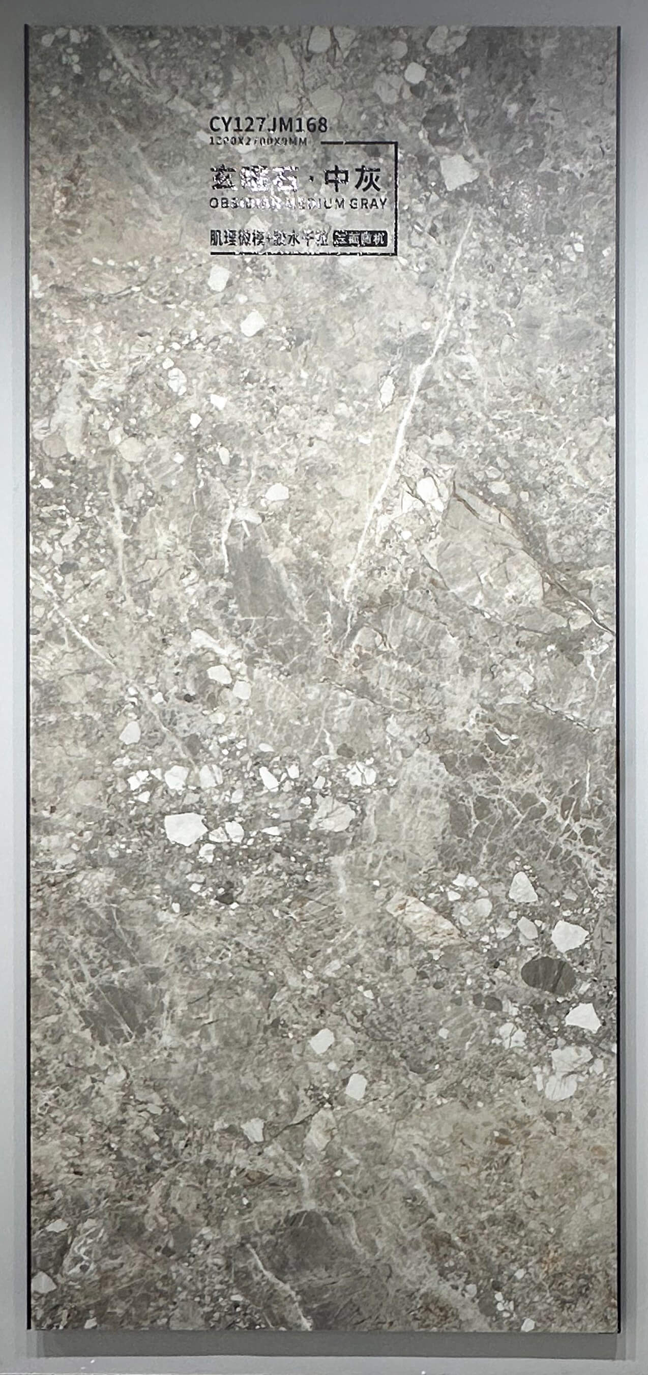 Xuan Yao Stone·Medium Gray CY127JM168 image 3