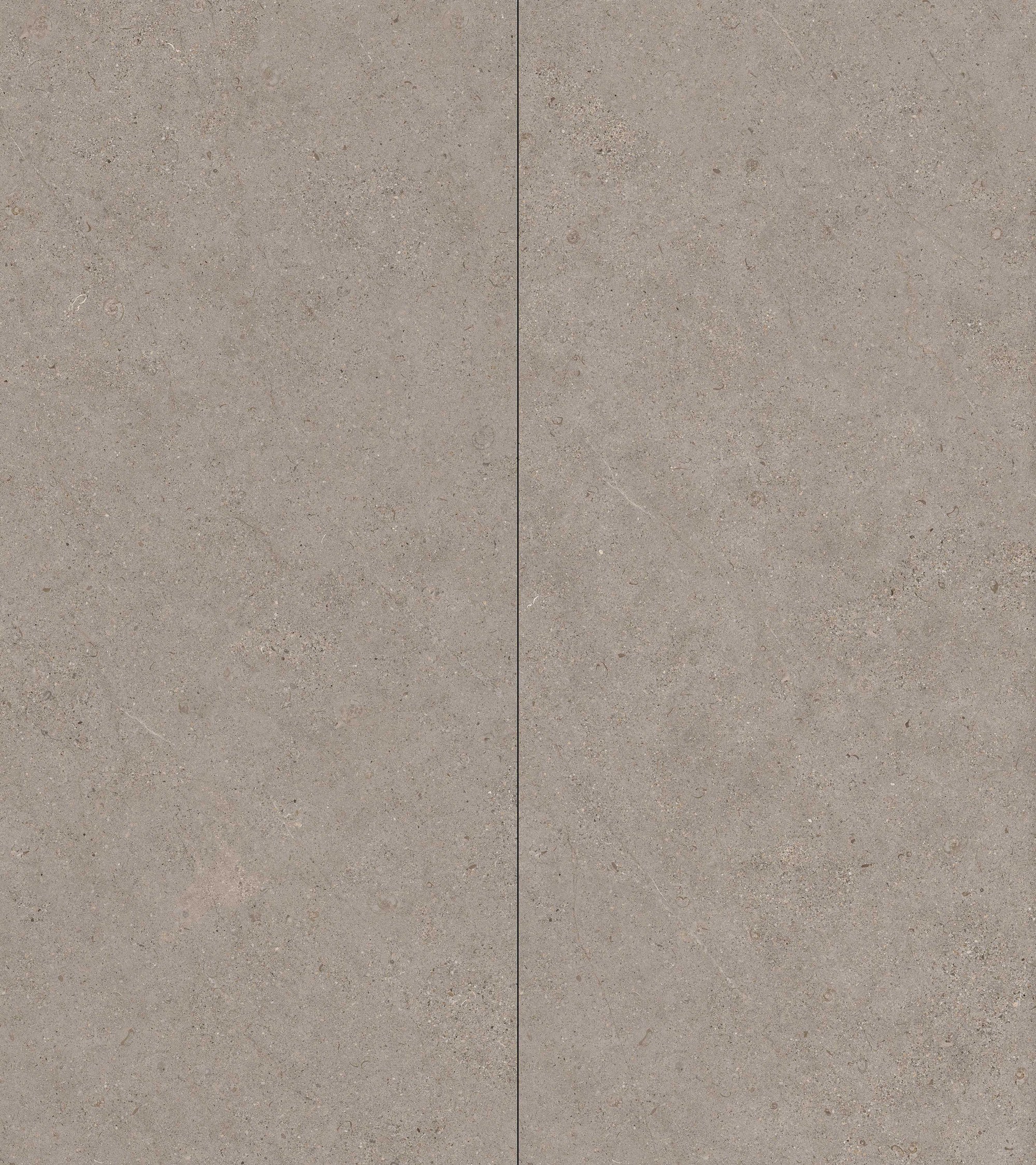 Limestone · hazelnut coffee CY127JM172 image 2