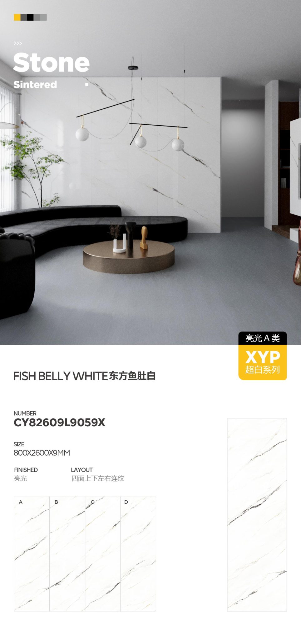 Golden thread fish belly white