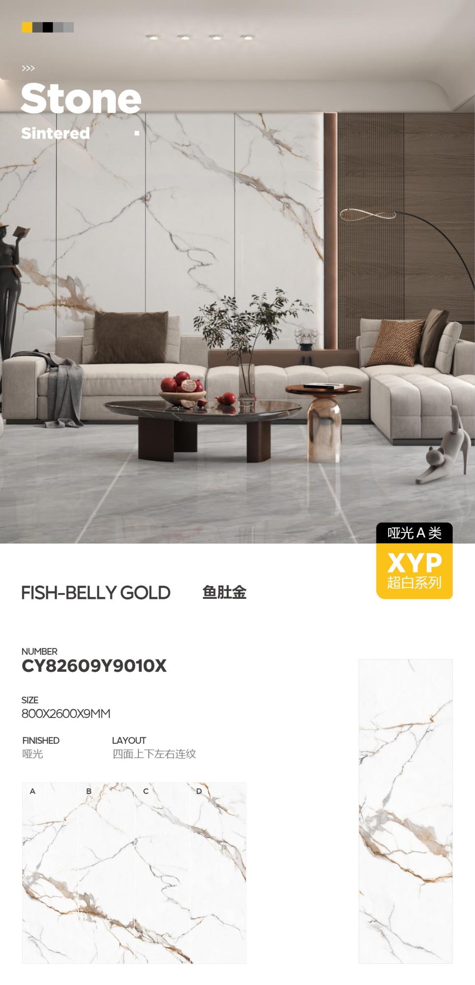 생선 뱃살 금 CY82609Y9010X image 1