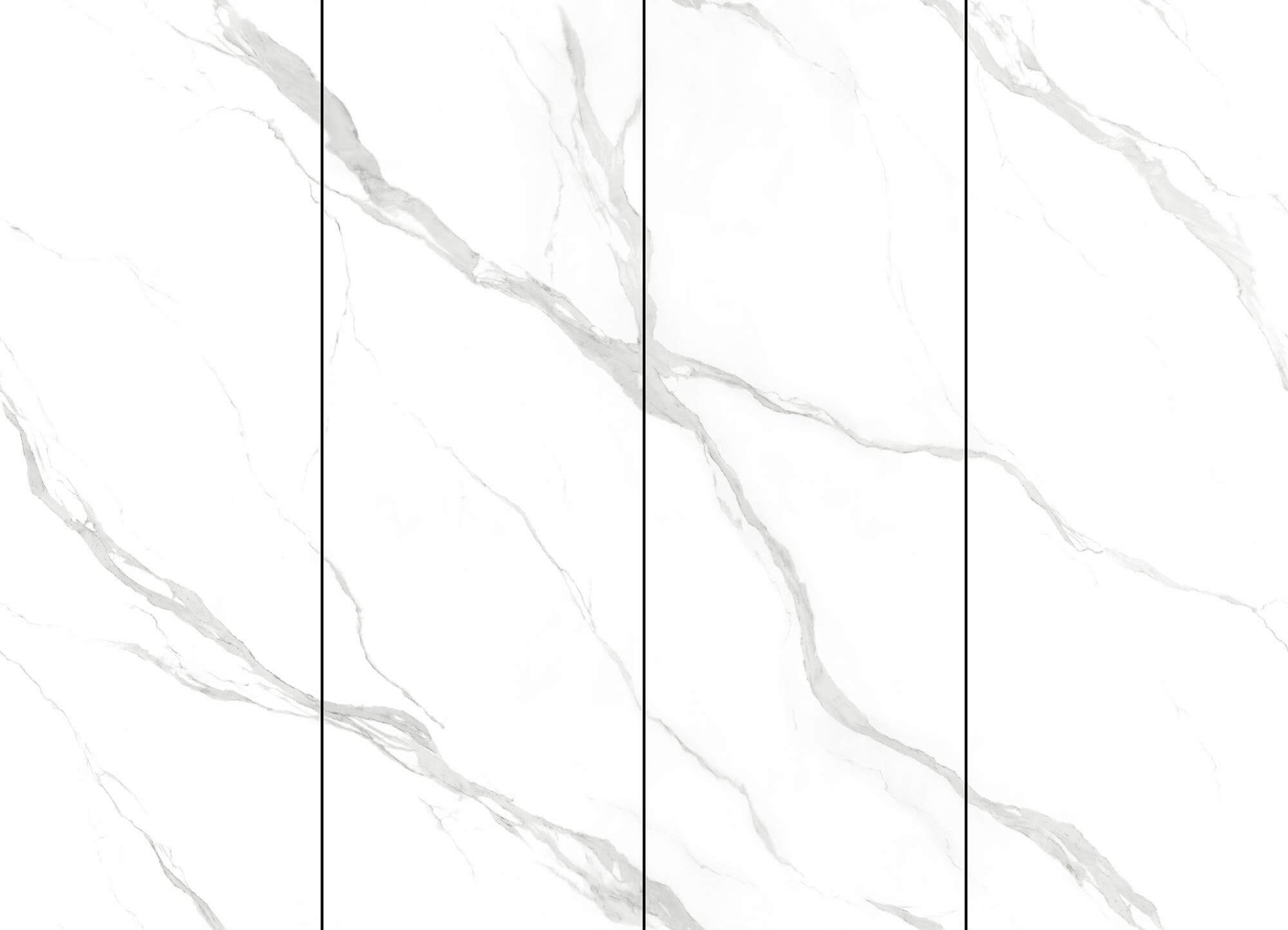 Top quality fish belly white CY92709L7021X image 2