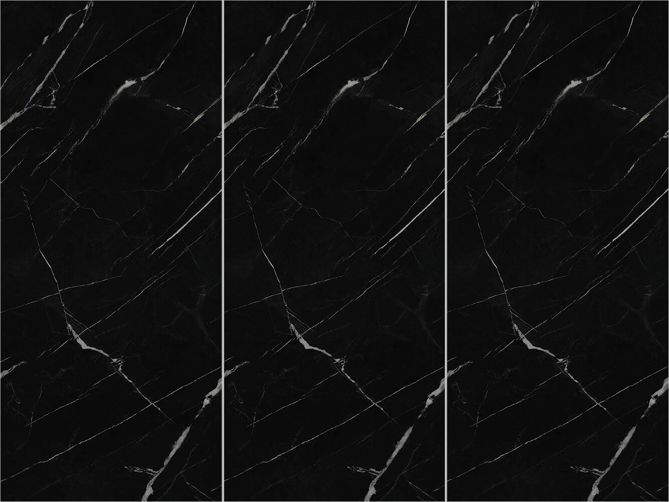 Black and White Roots (Black Knight) DW1227L39 image 2
