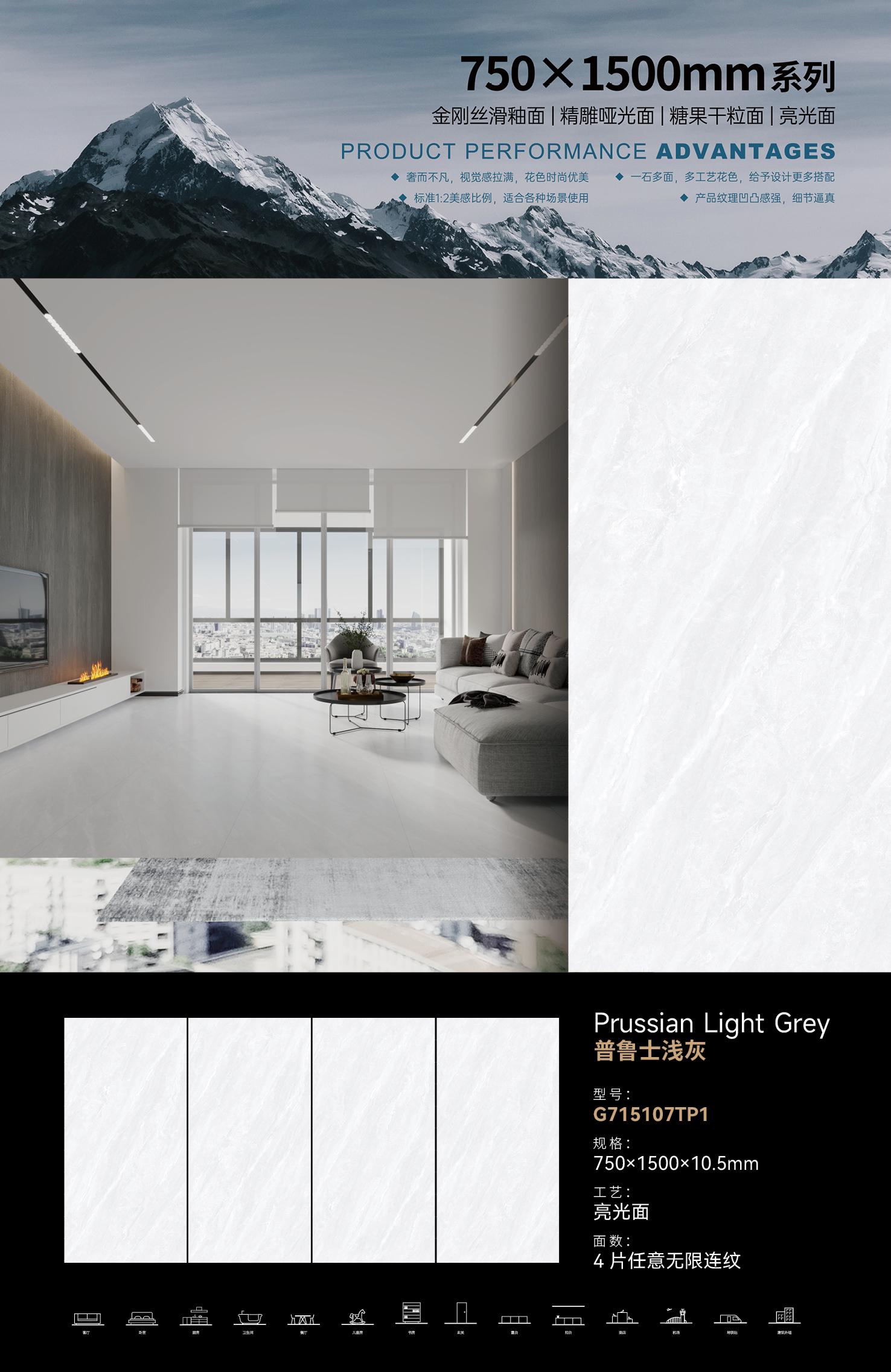 Prussian light gray G715107TP1 image 1