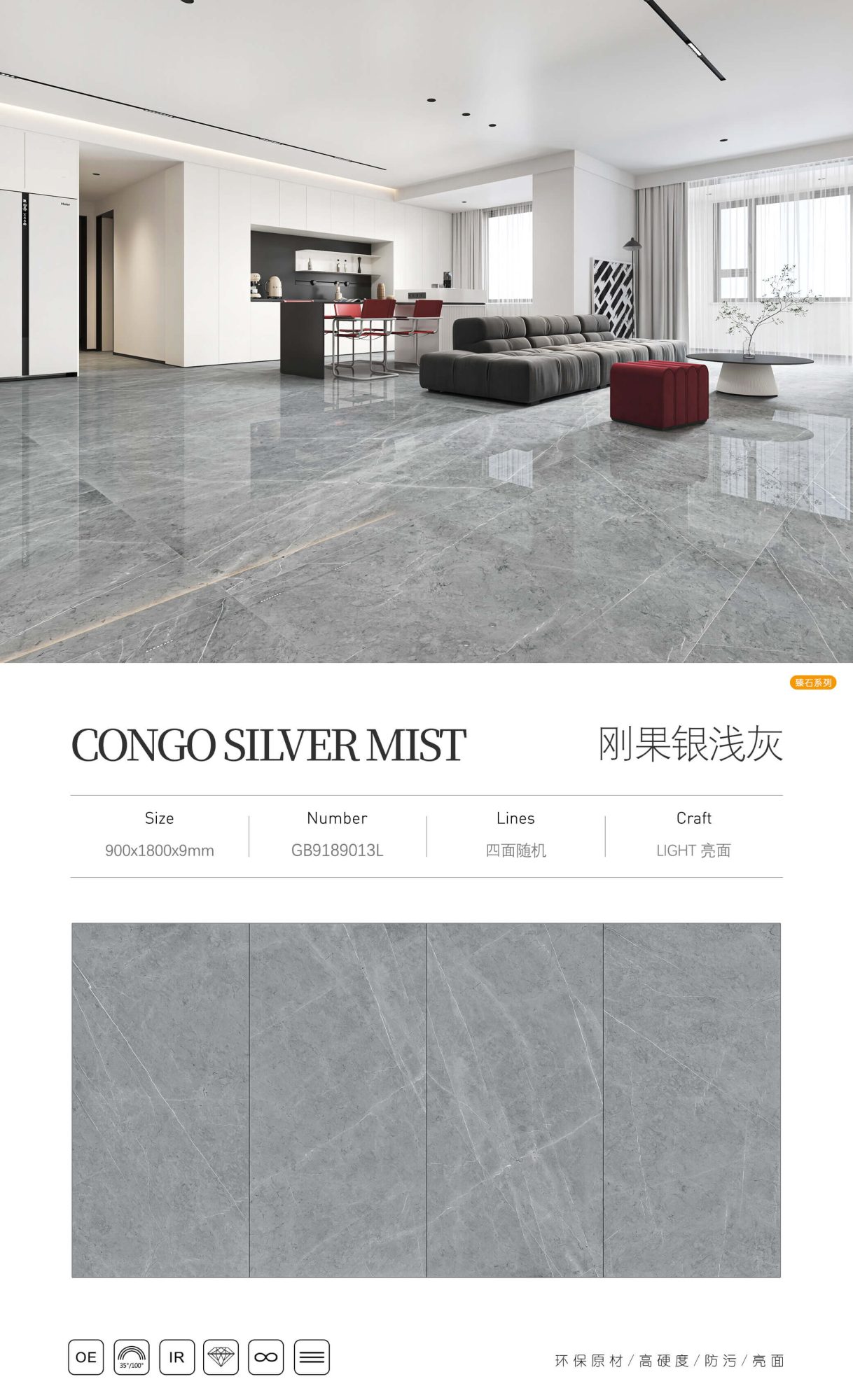 Congo silver light gray GB9189013L image 1