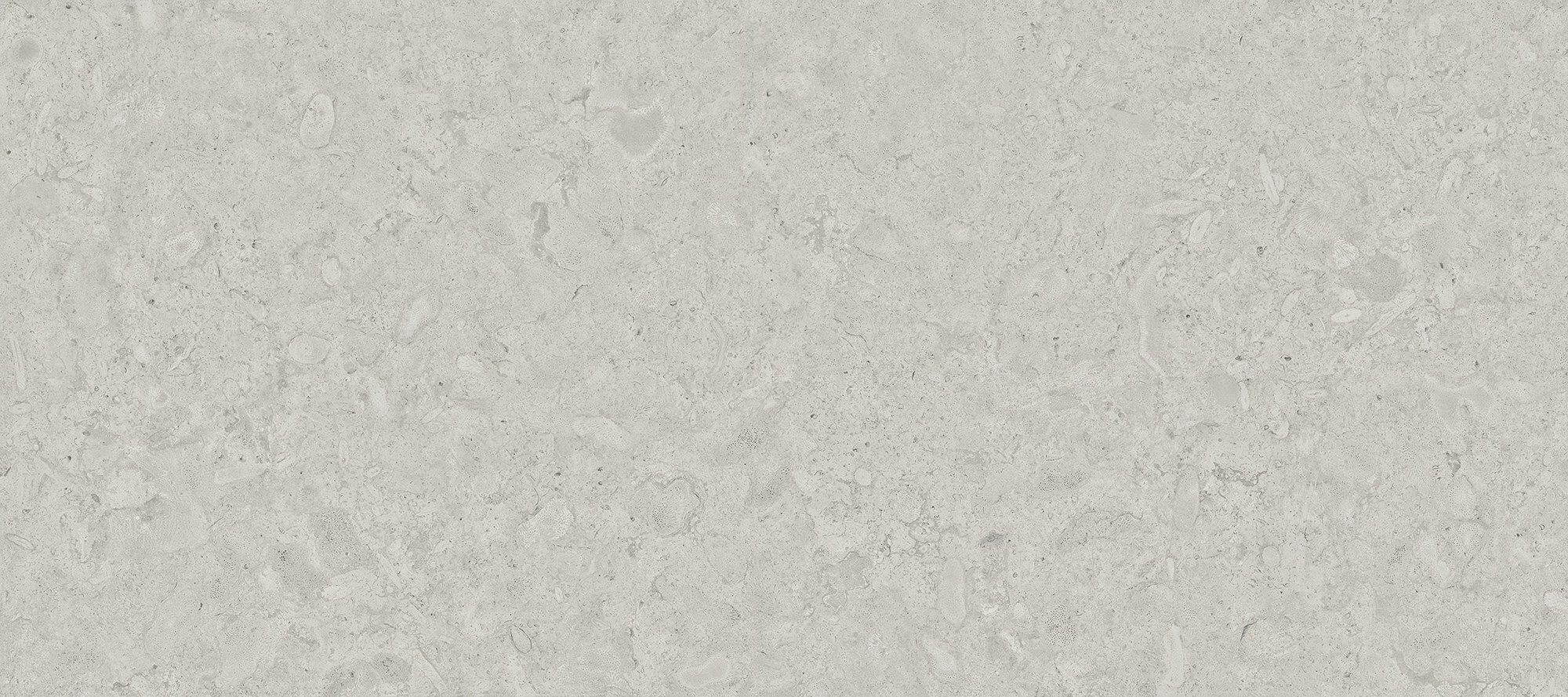 seafloor volcanic rock GC1227902Y image 2