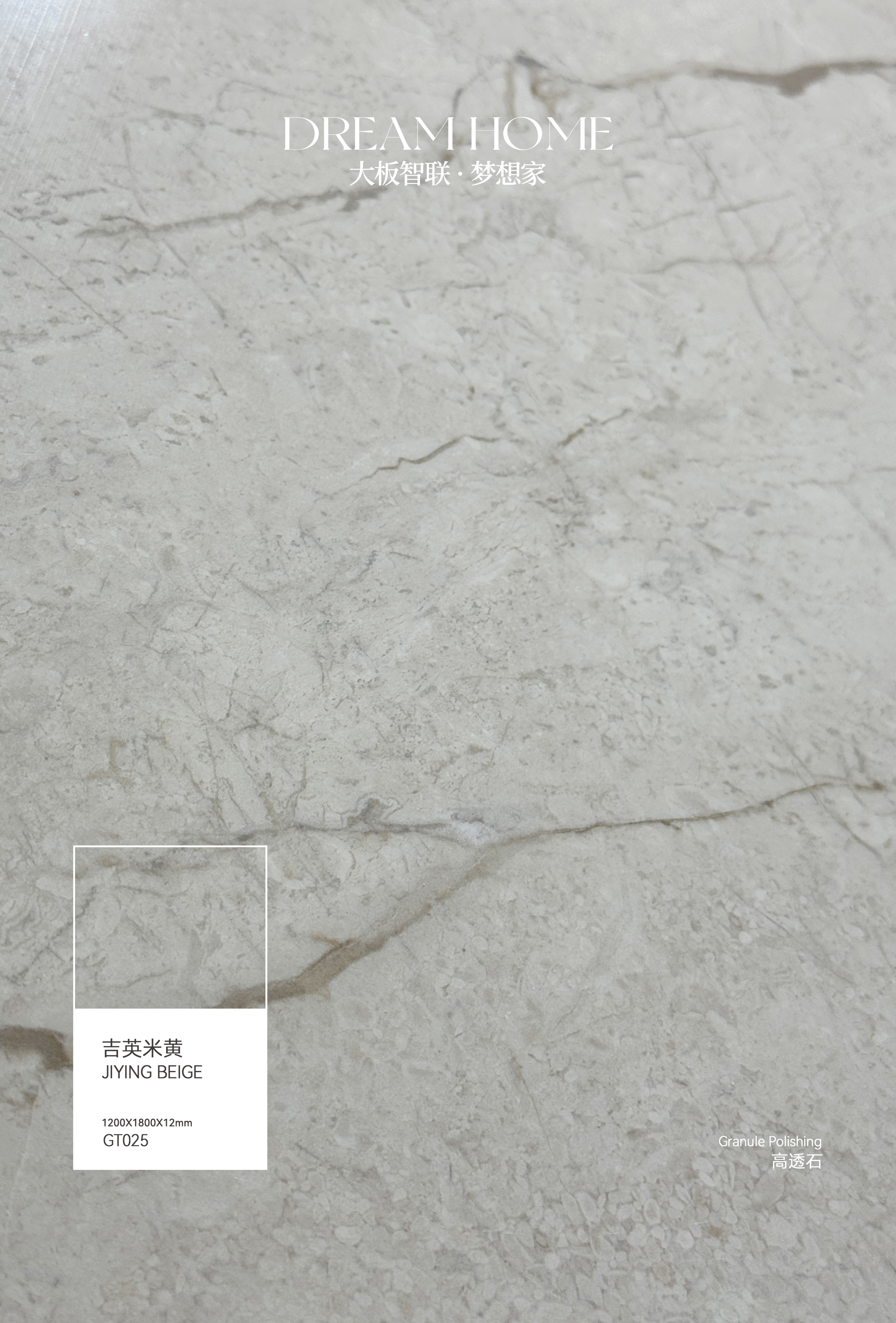 Jiying beige GT025 image 3