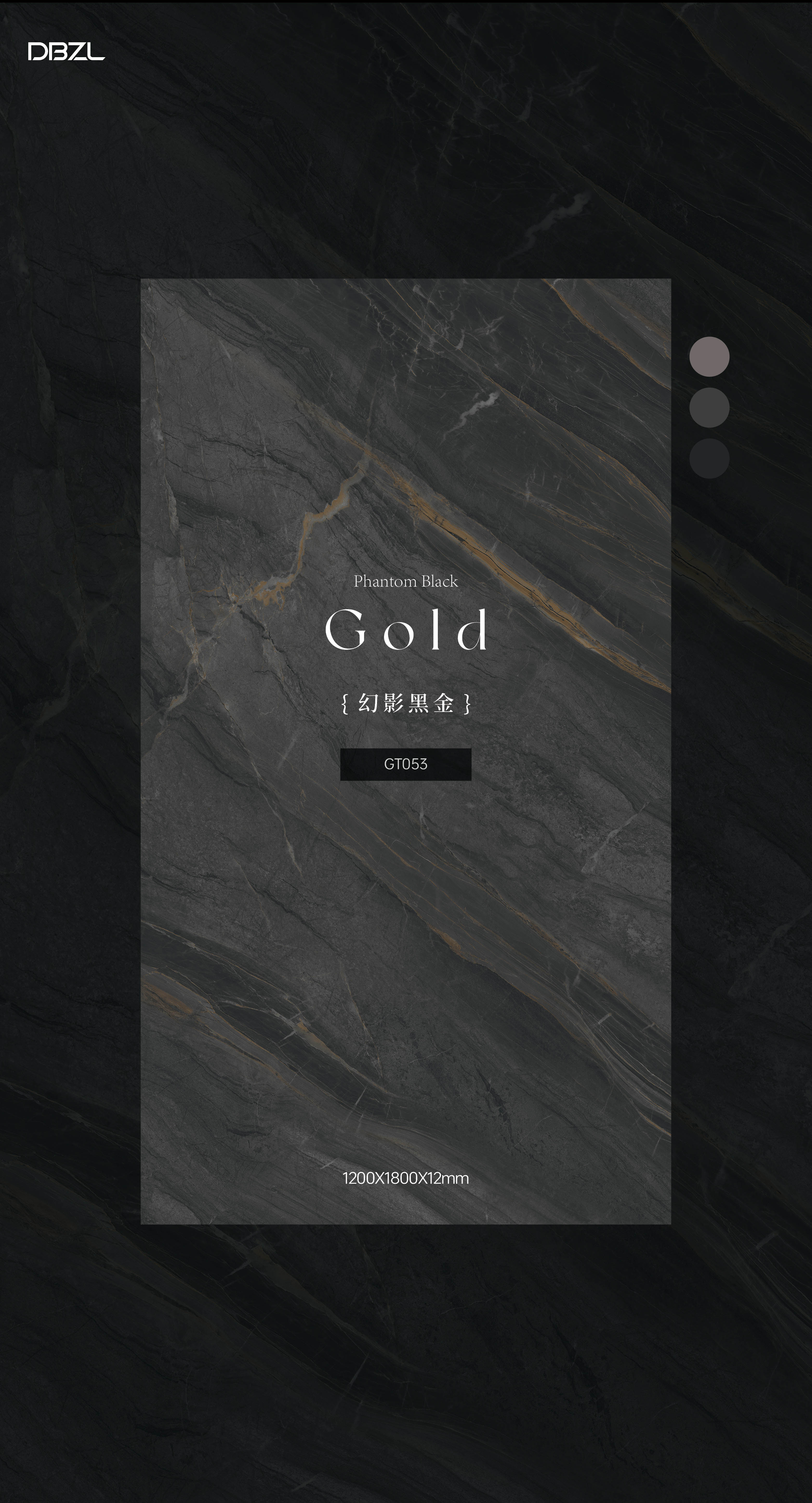 phantom black gold GT053 image 2