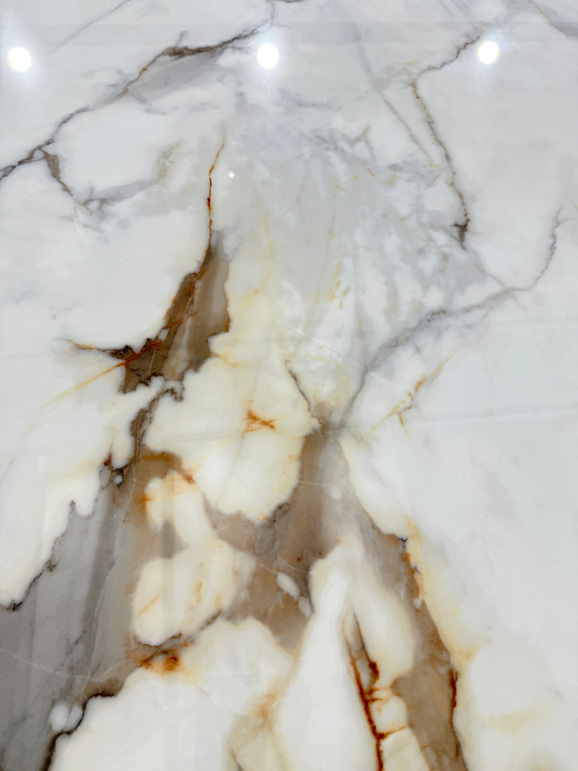 Top quality fish maw gold H18322CR206G image 6