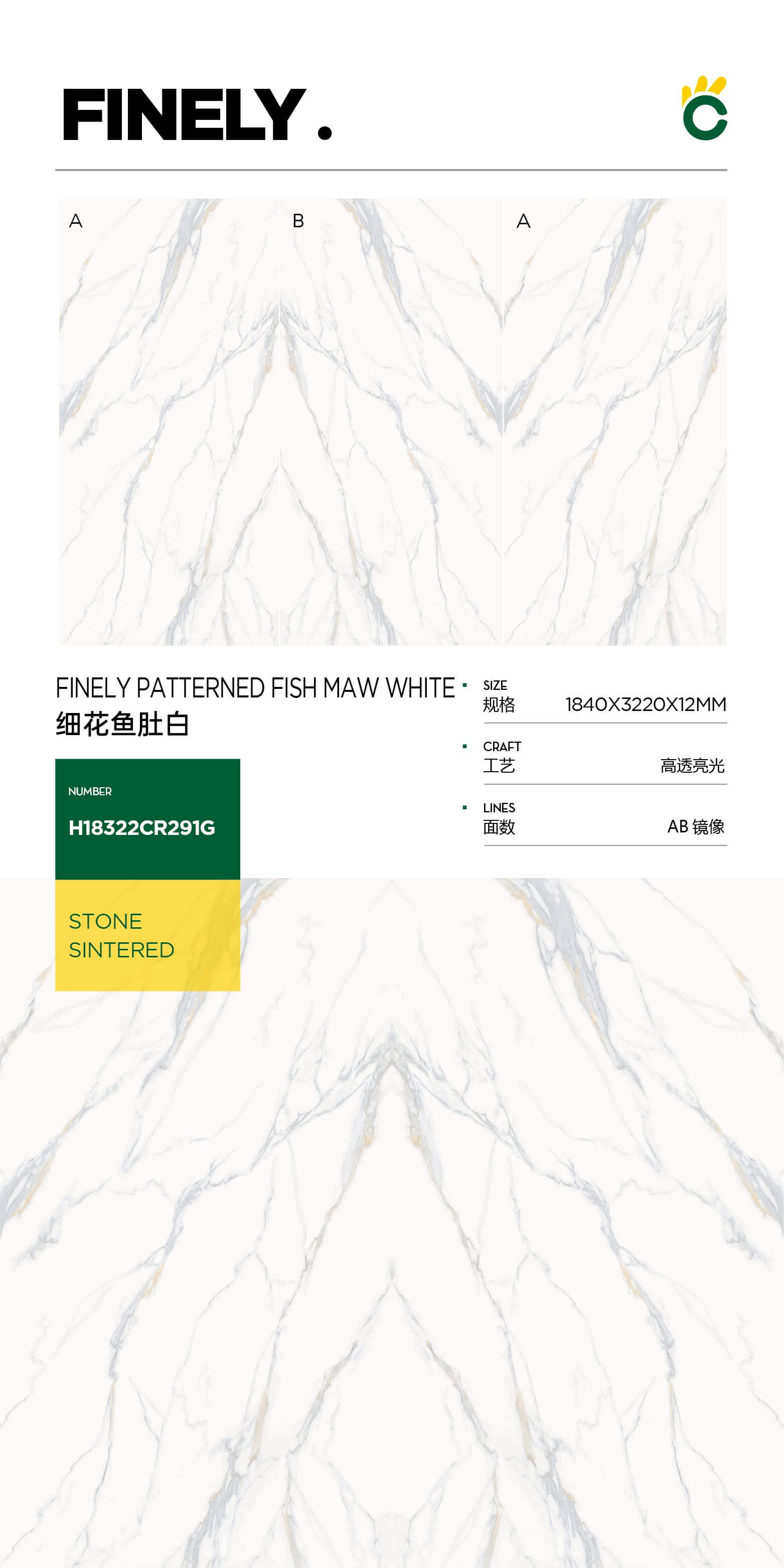 Thin flower fish belly white