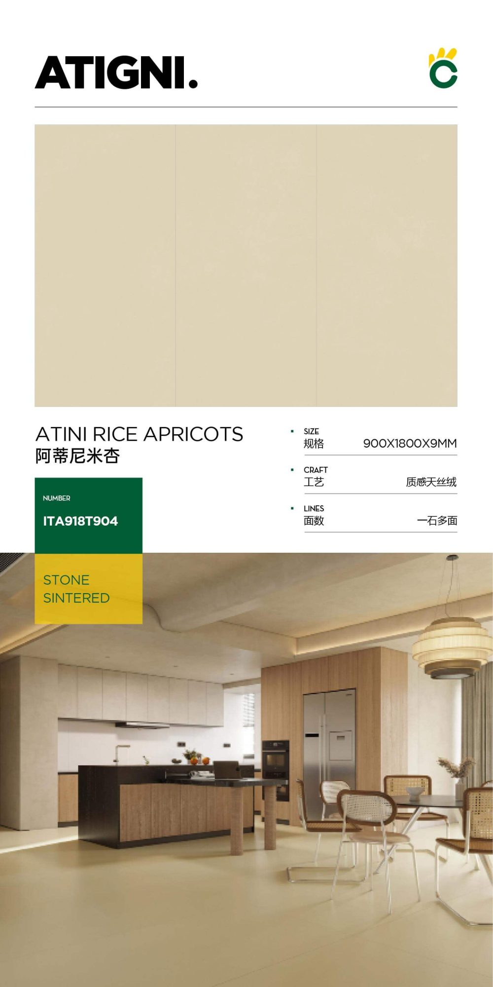 Albicocca Artemisia ITA918T904 image 1
