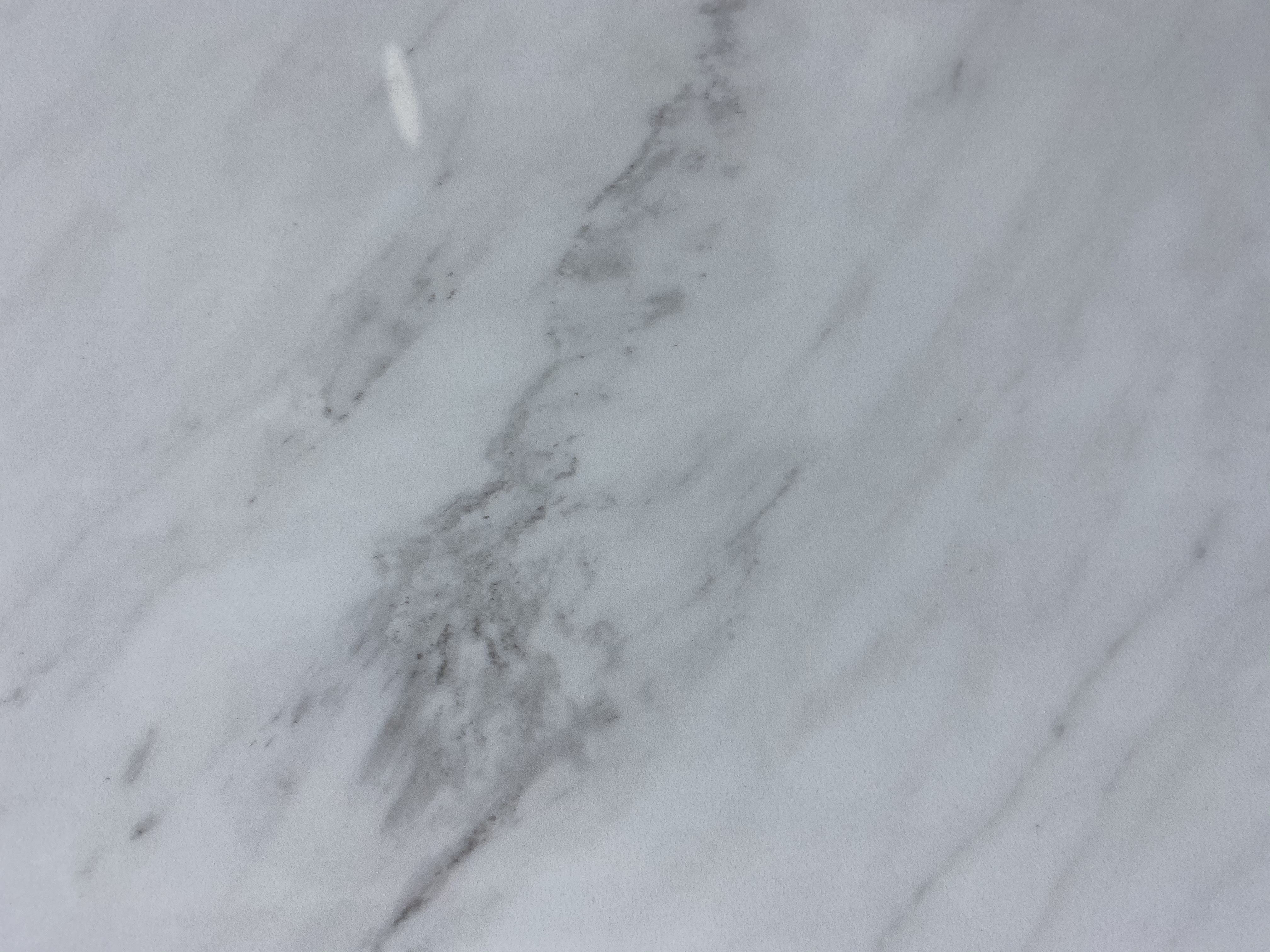 Tianshan white JJ918PL093 image 3