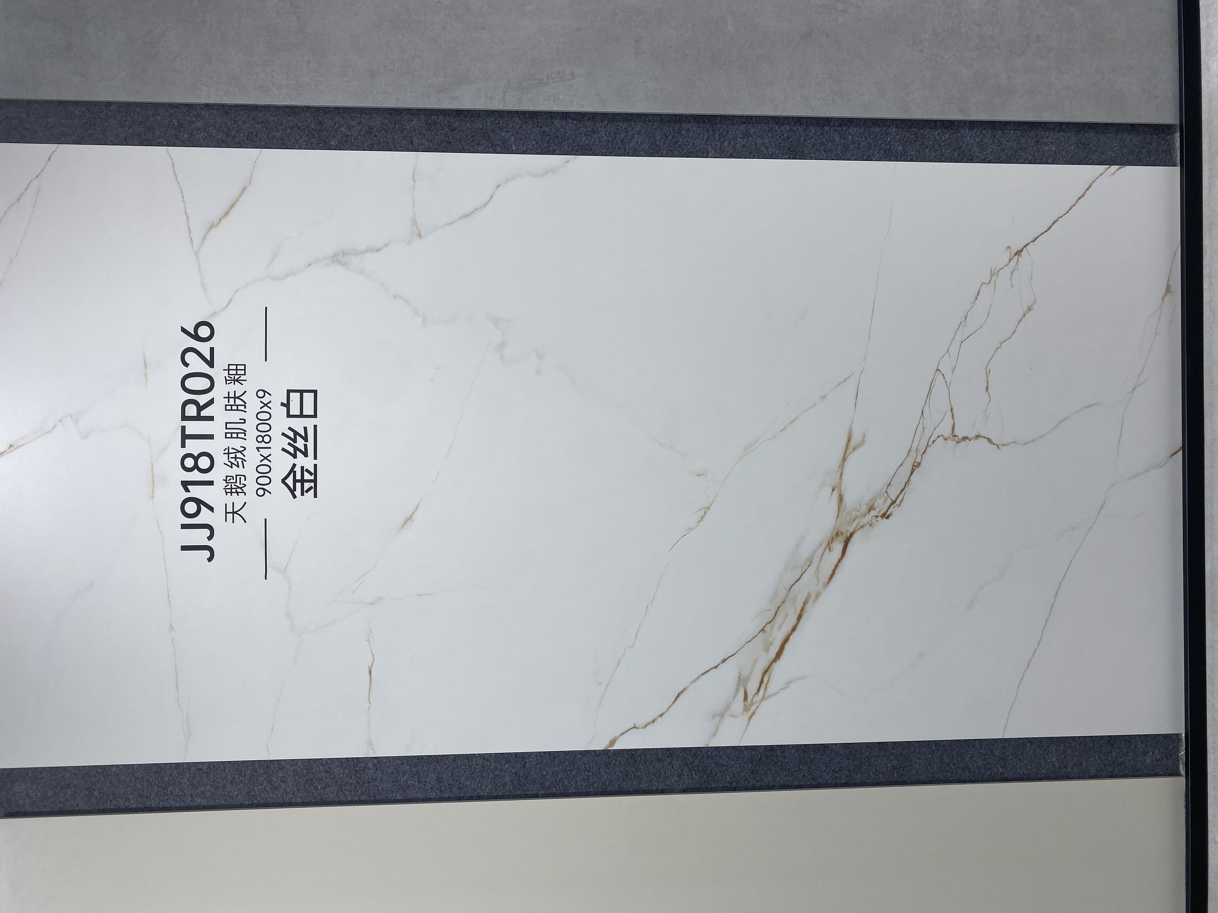 Bianco seta dorato JJ918TR026 image 2