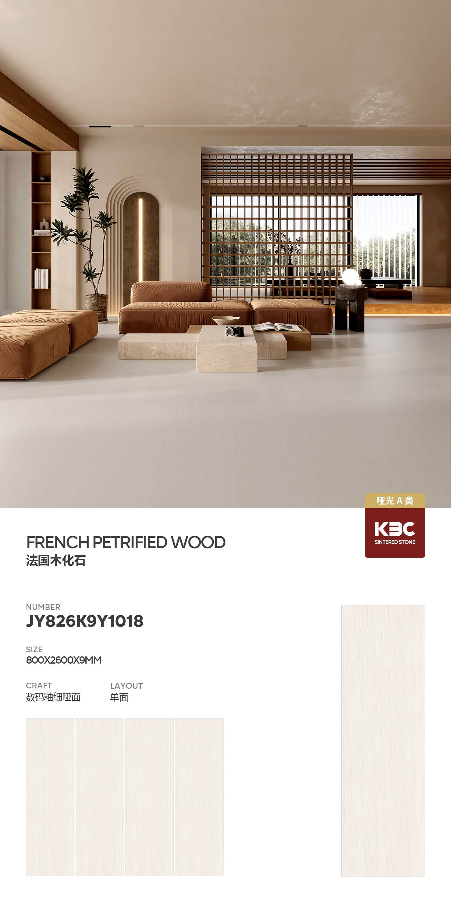 French petrified wood