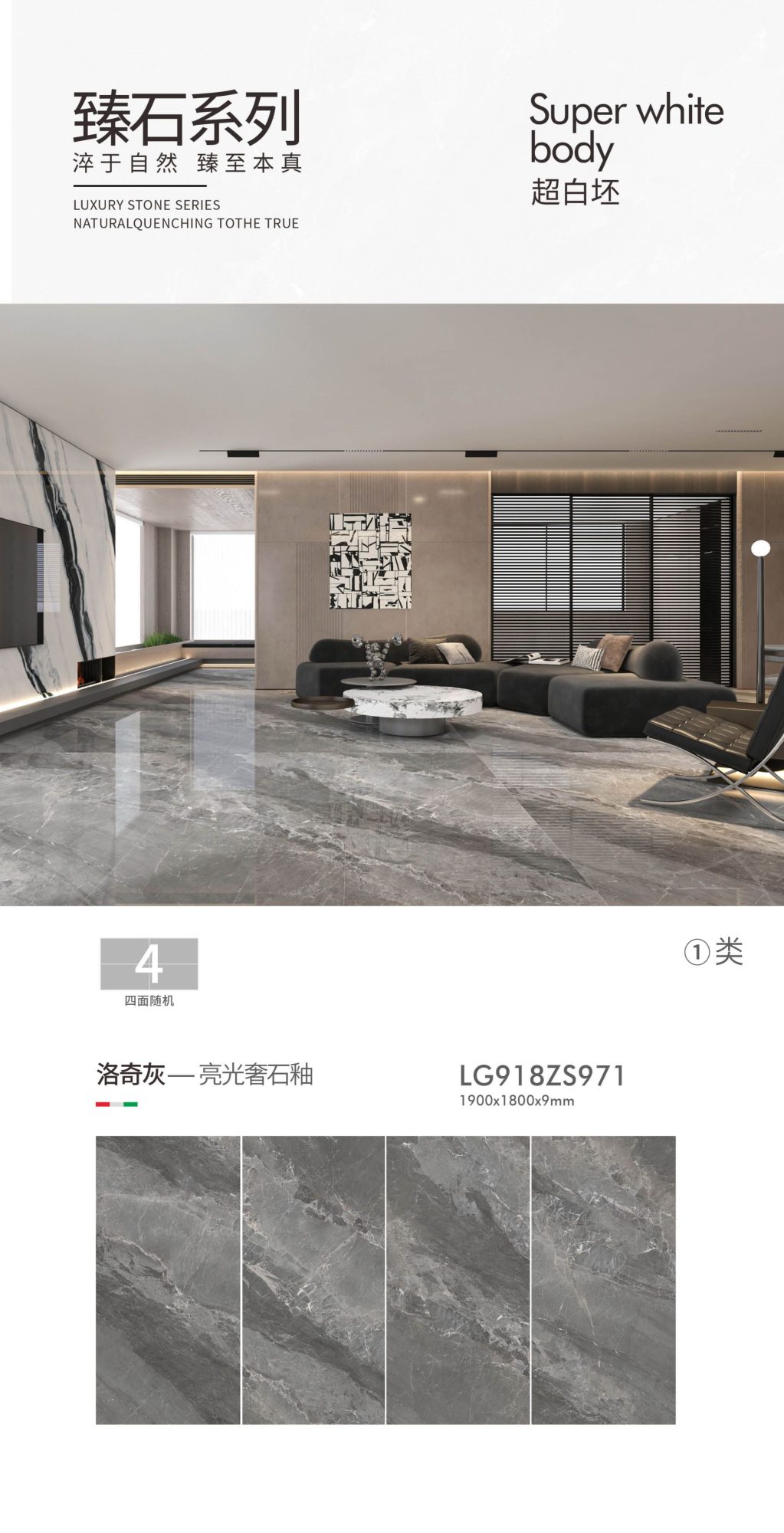 Rocky Gray LG918ZS971 image 1