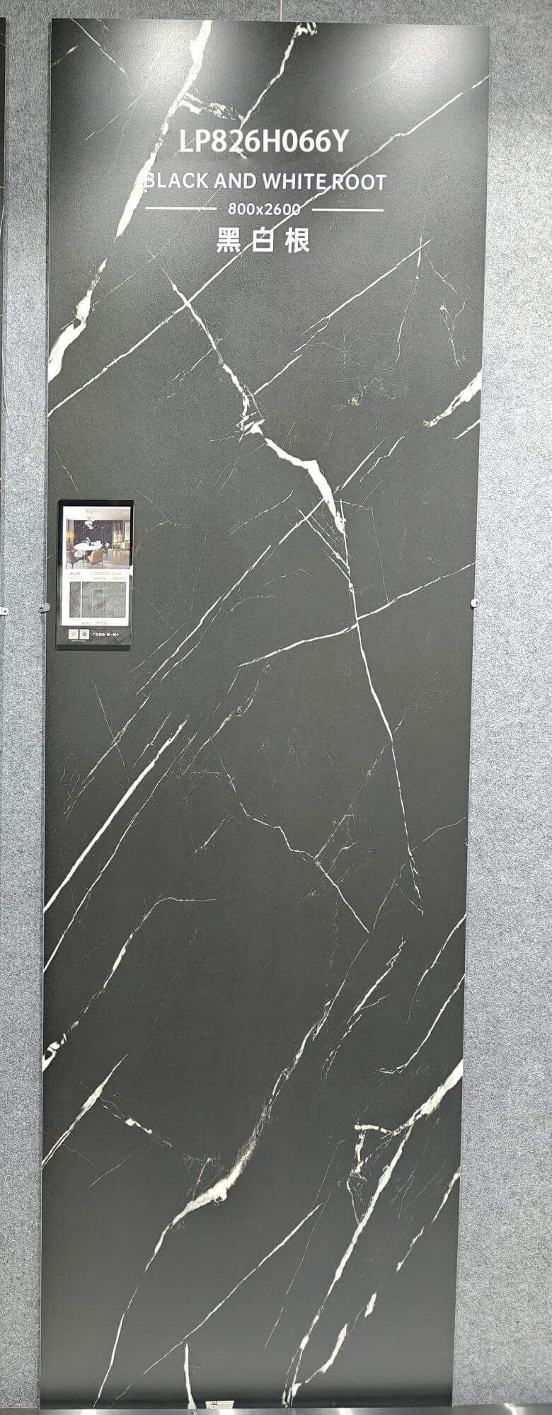 Black and white roots LP826H066Y image 2