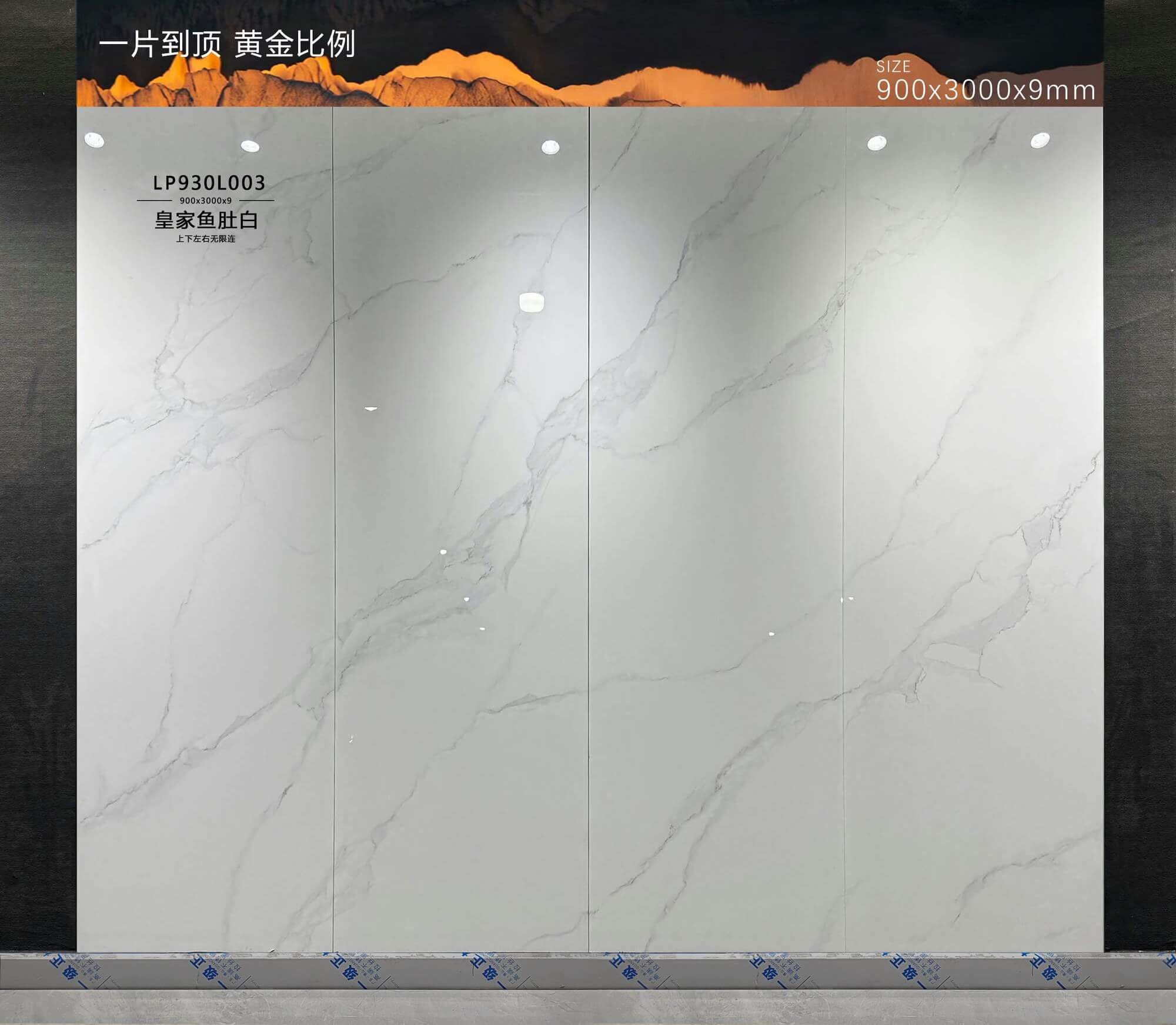 皇家鱼肚白 LP930L003 image 2