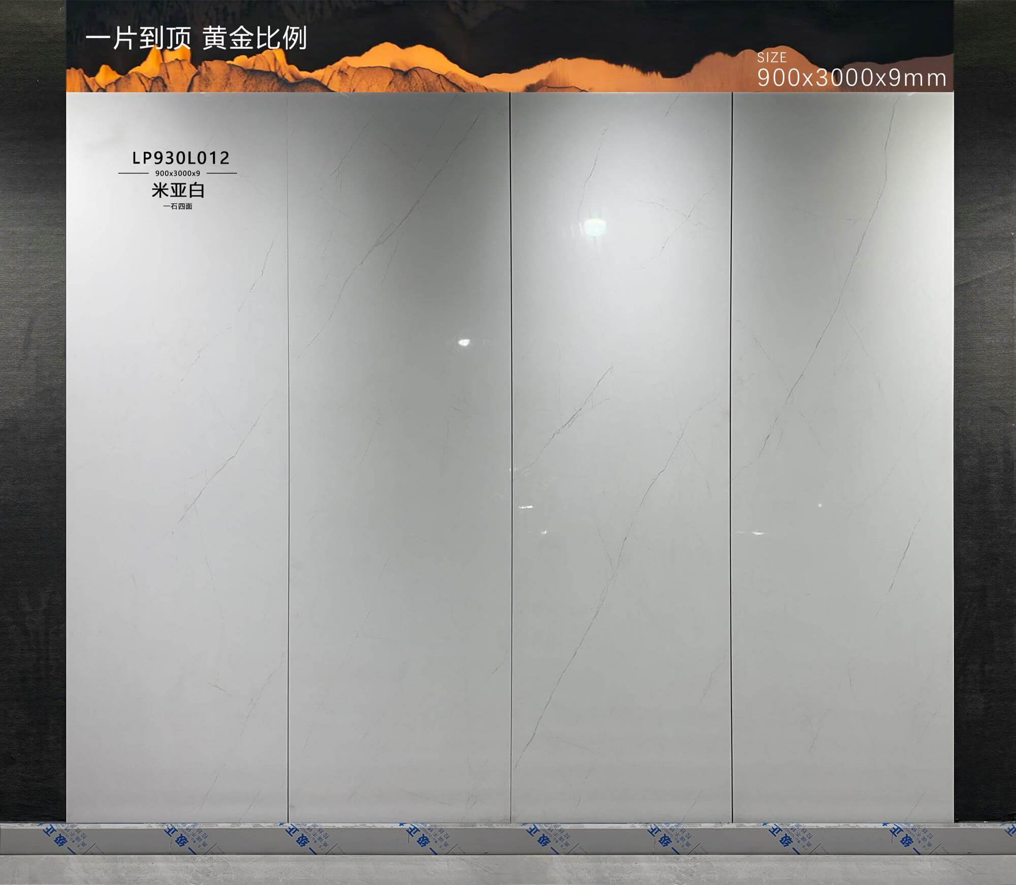 miyabai LP930L012 image 2