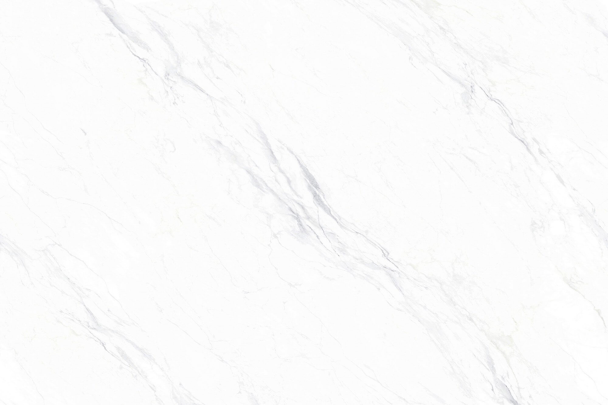 戛纳白 LV124FKY301 image 2