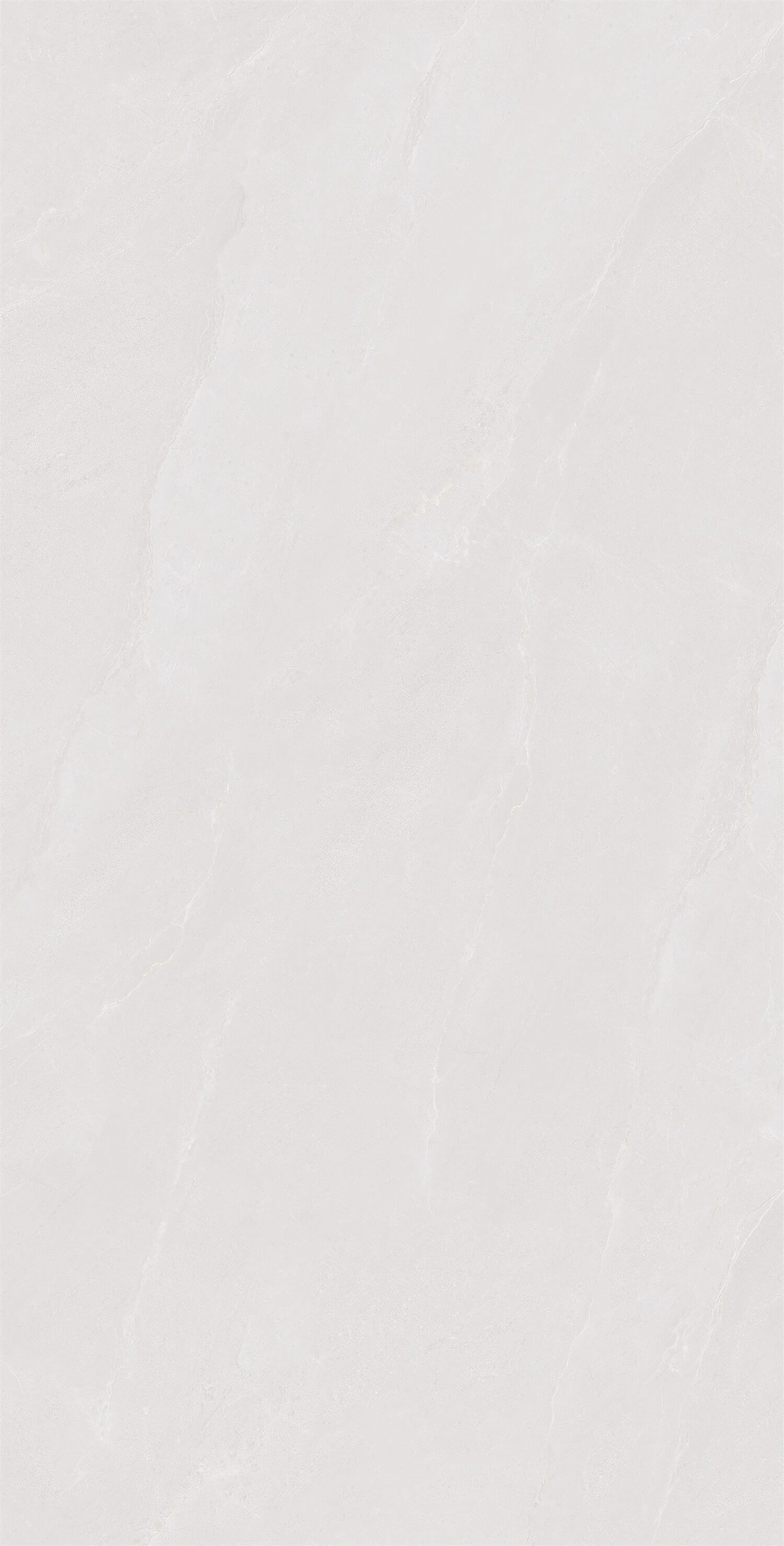帕加尼灰 LV13GP701 image 2
