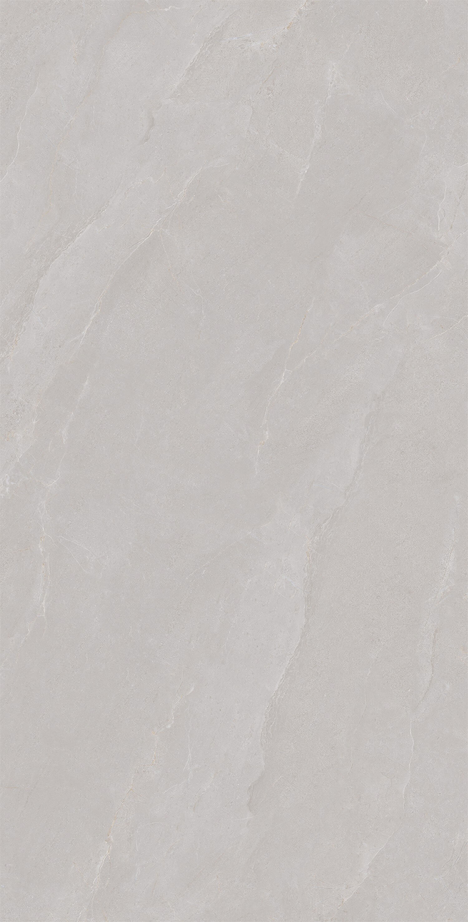 Venus-elegant gray LV13GP702 image 2