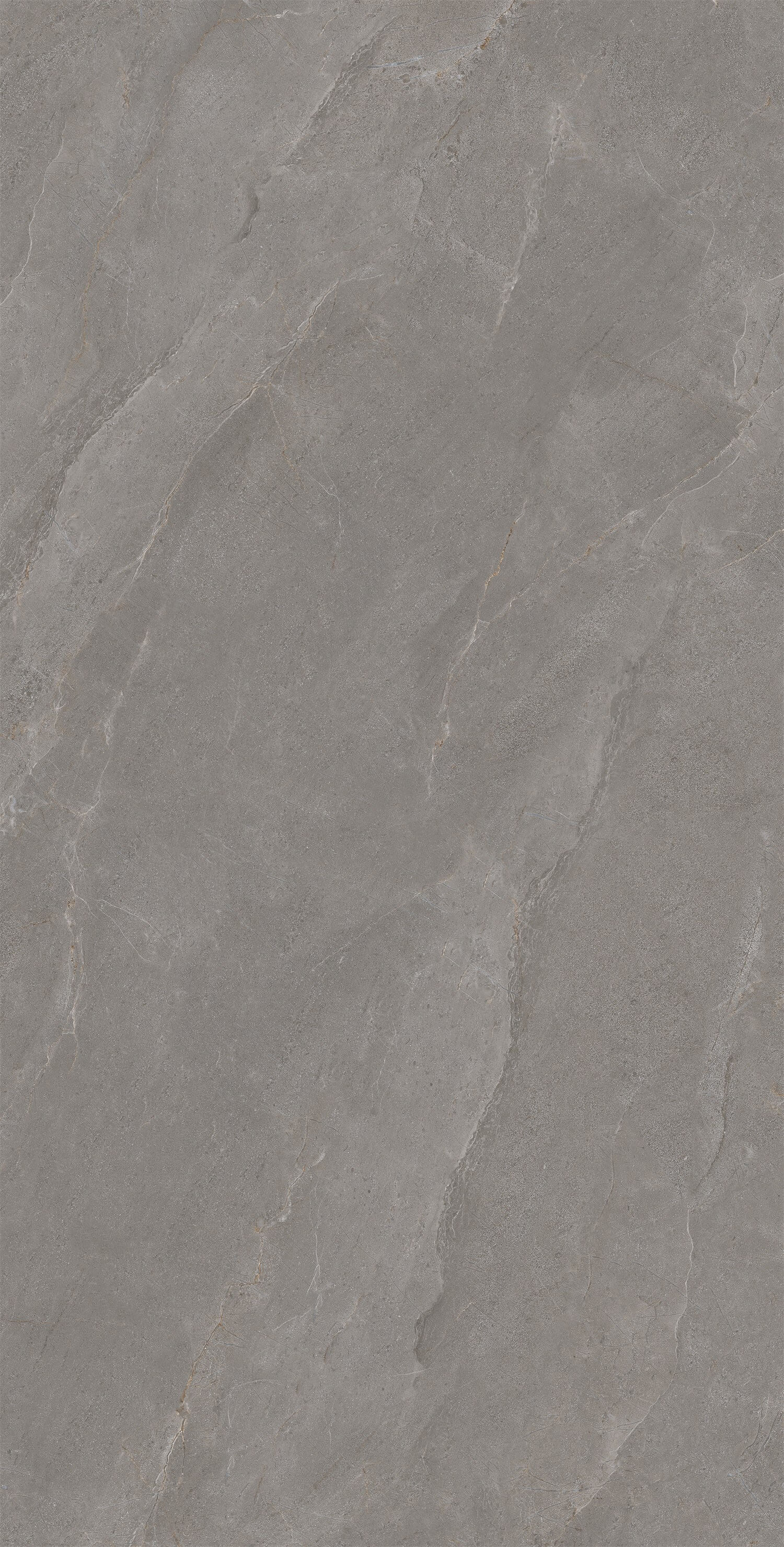 Venus-brown gray LV13GP703 image 2