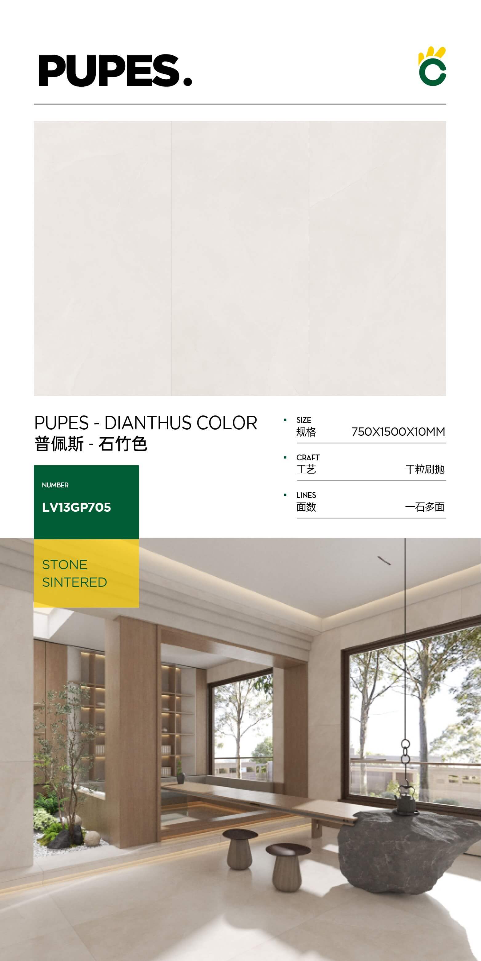 Pupus-Dianthus color