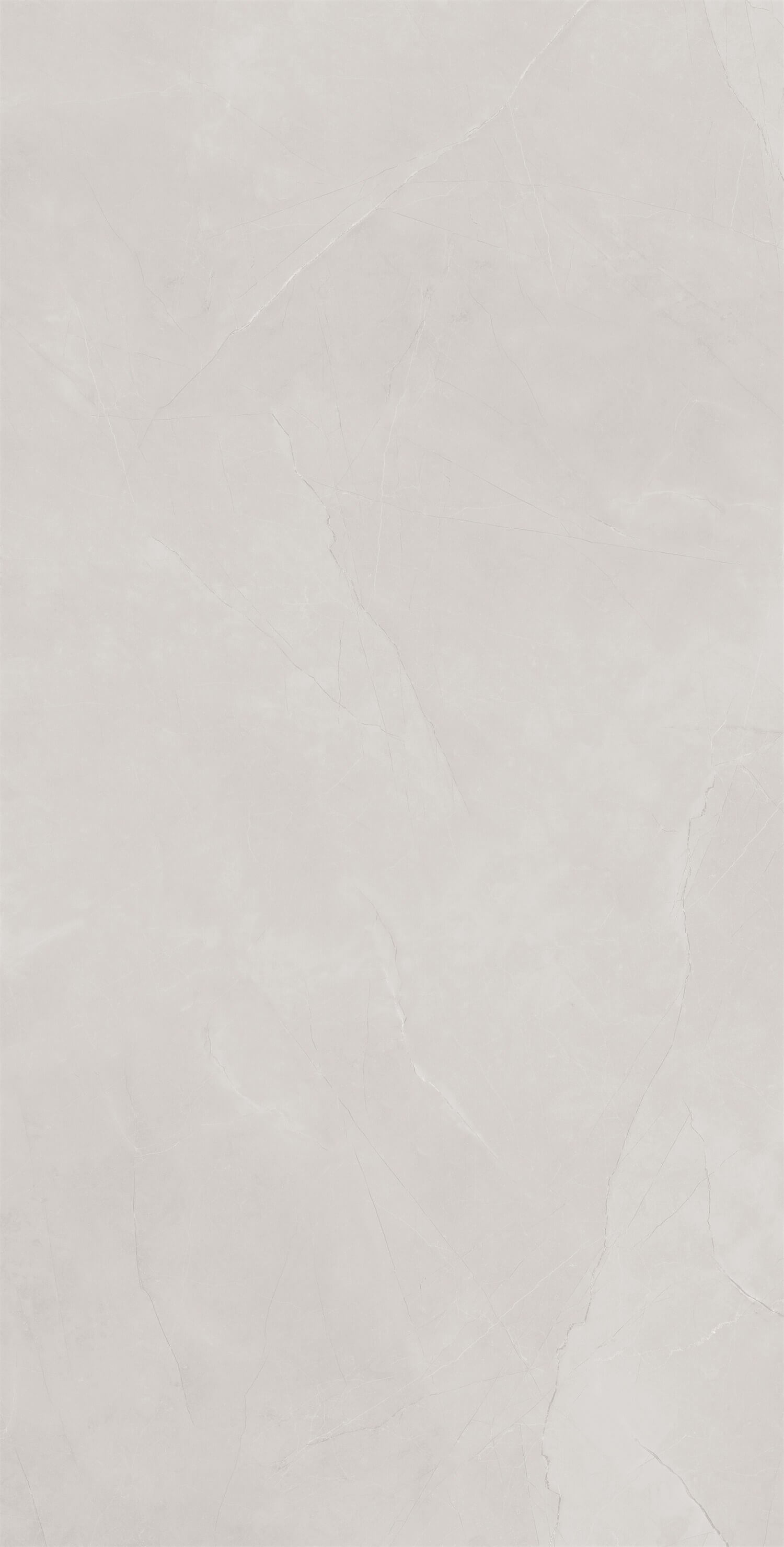 Pupus-Prince Silver Gray LV13GP707 image 2