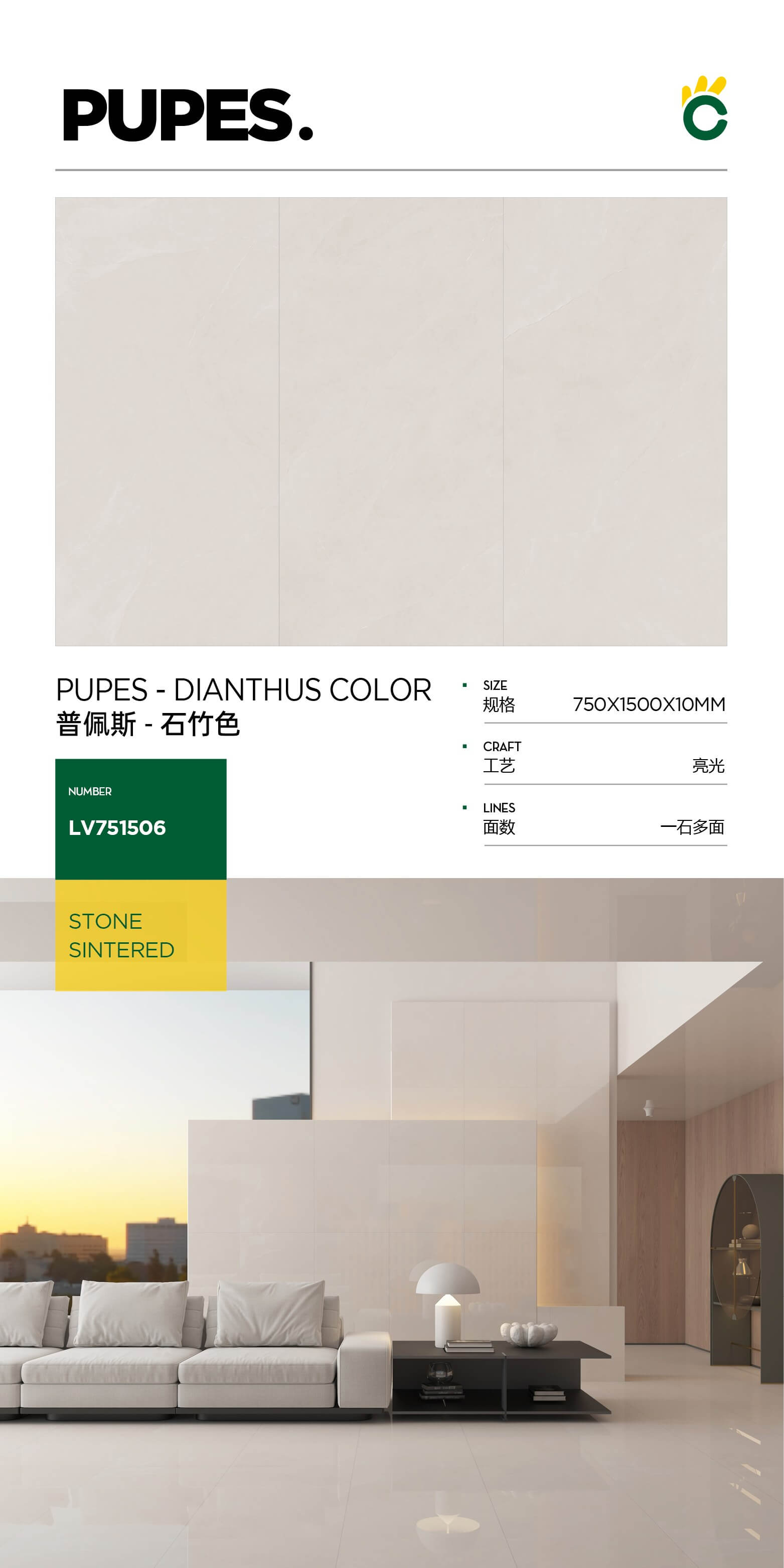 Pupus-Dianthus color