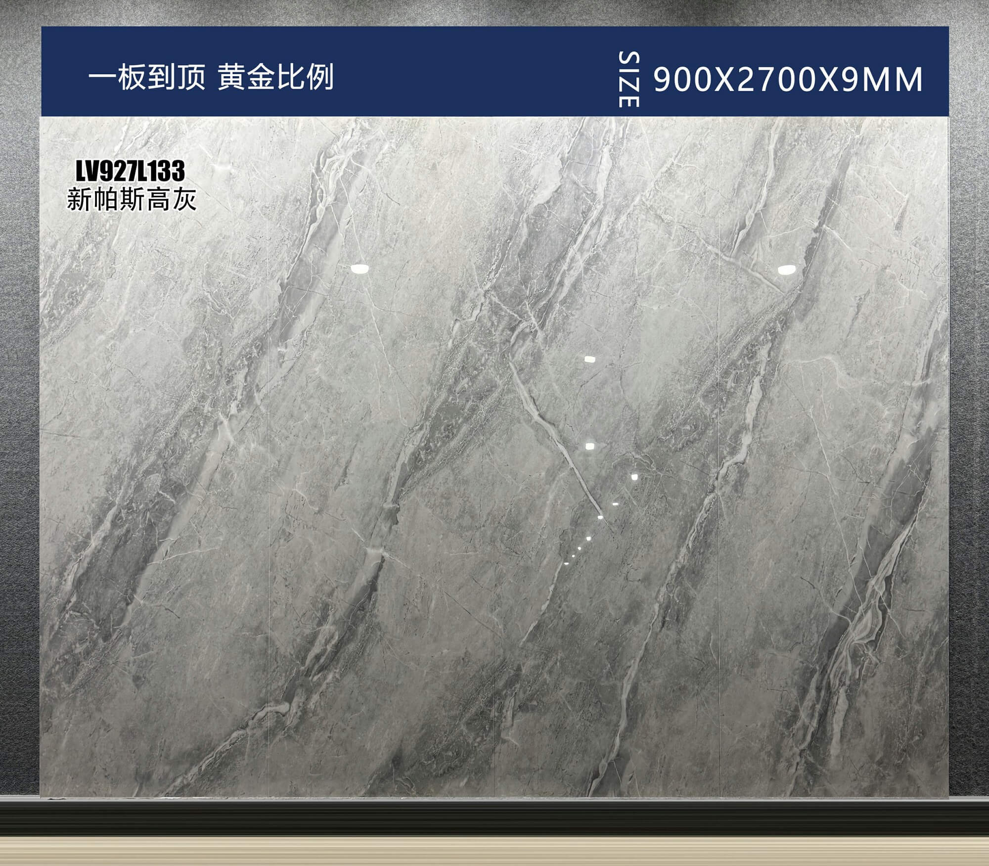 new pasco gray LV927L133 image 2