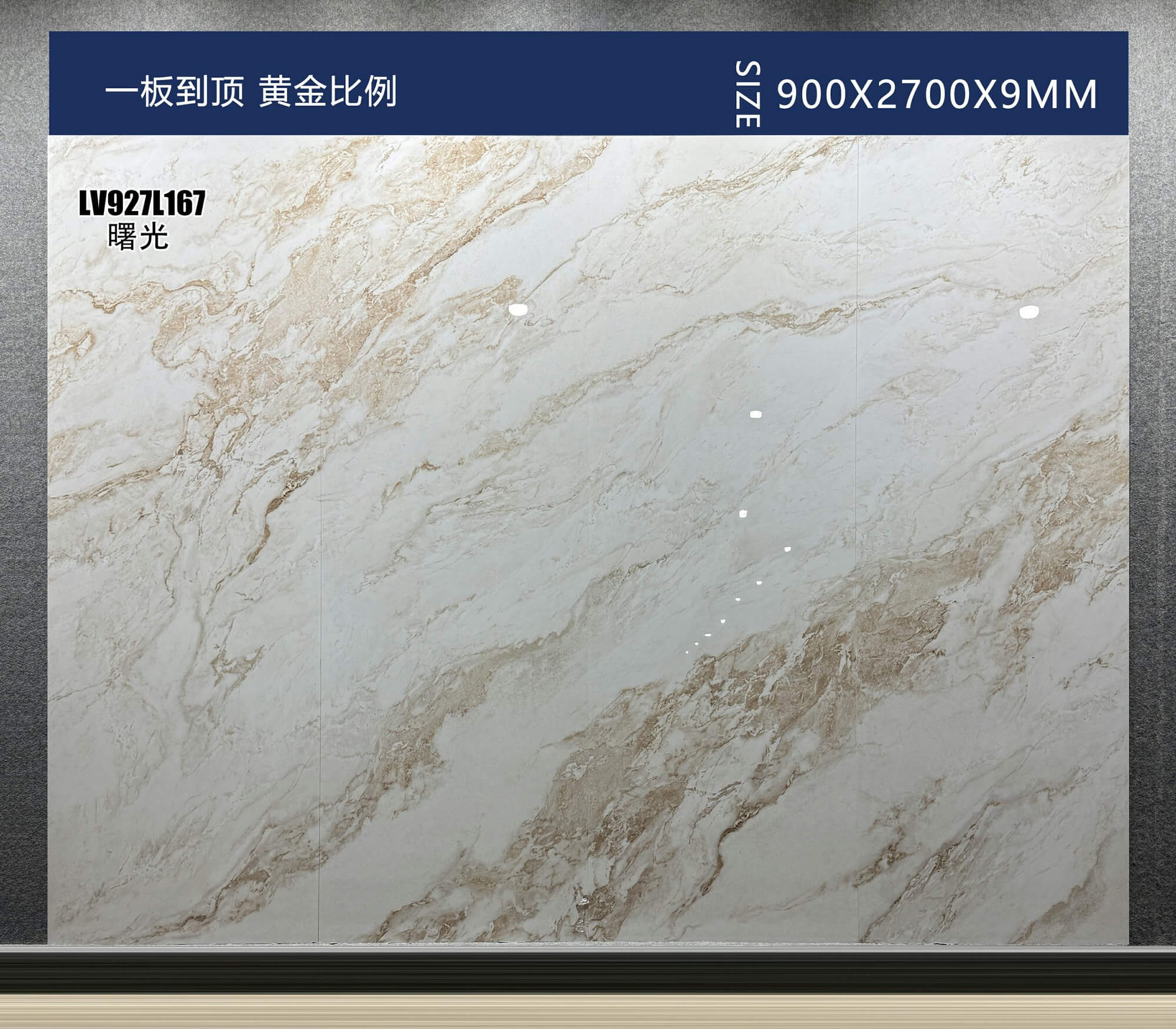 曙光 LV927L167 image 2