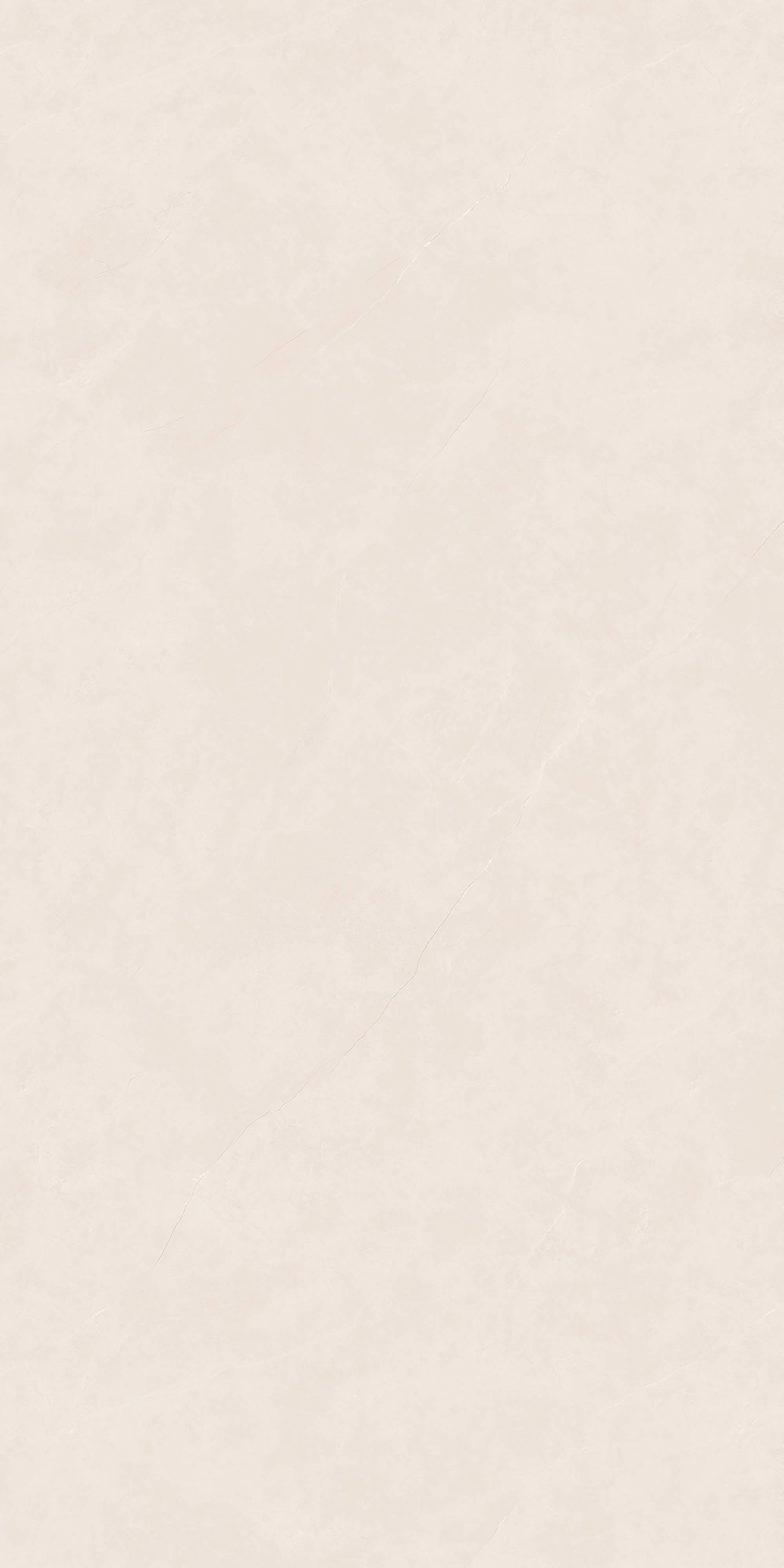 Nas beige LVS18906 image 2
