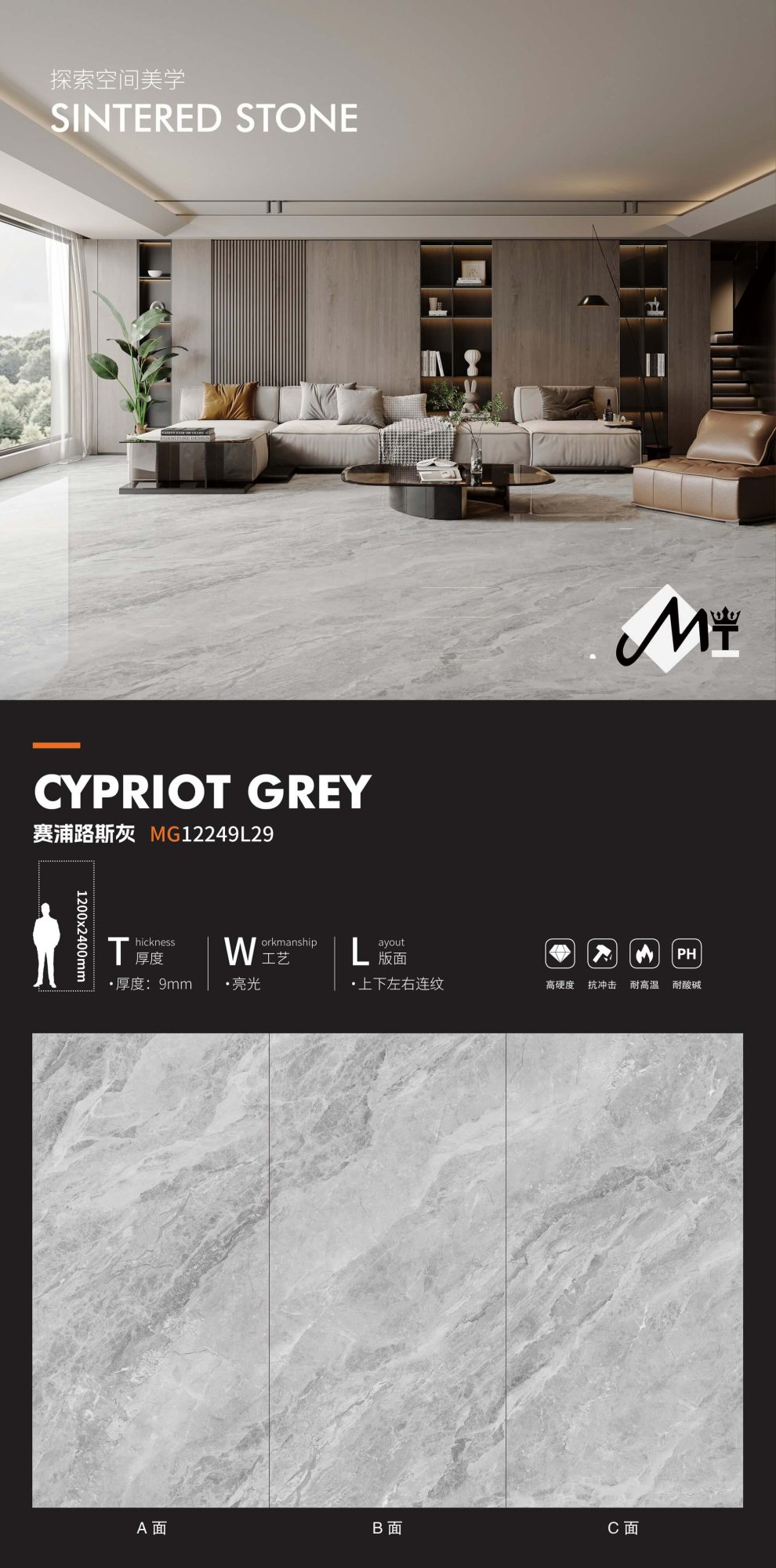 Cyprus Gray MG12249L29 image 1