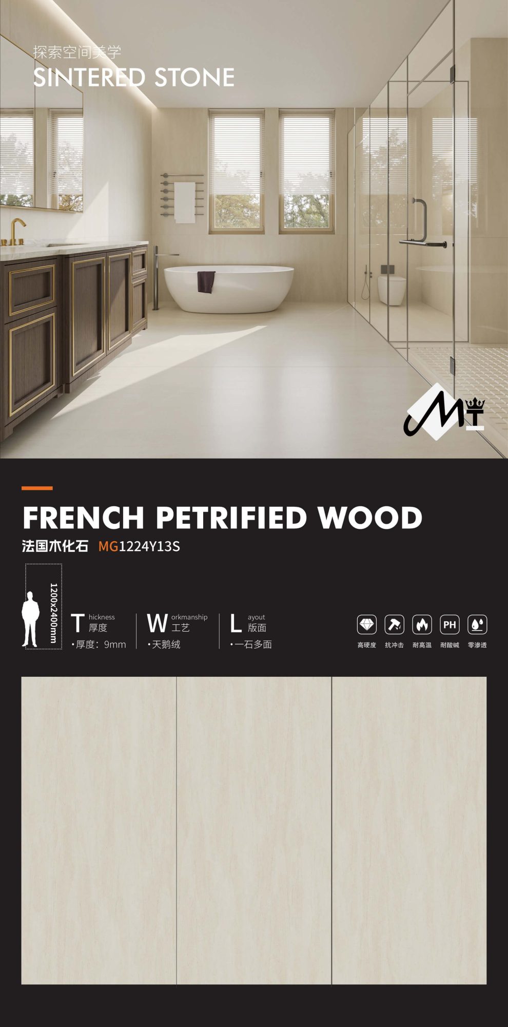French petrified wood MG1224Y13S image 1
