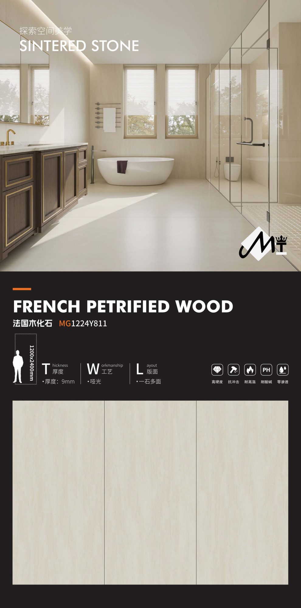 French petrified wood MG1224Y811 image 1