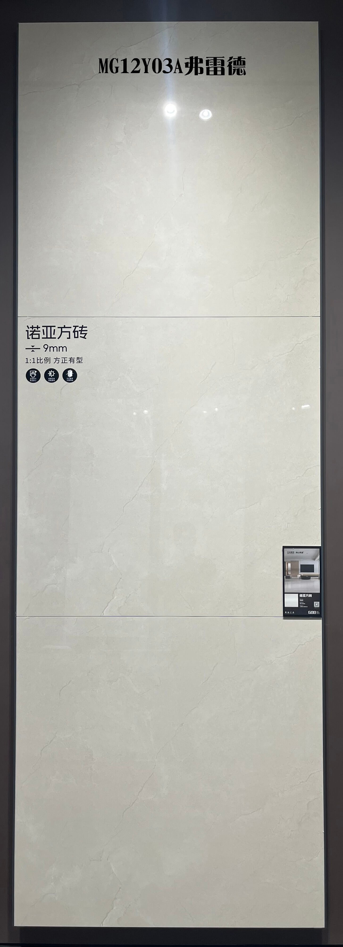 弗雷德 MG12Y03A image 2