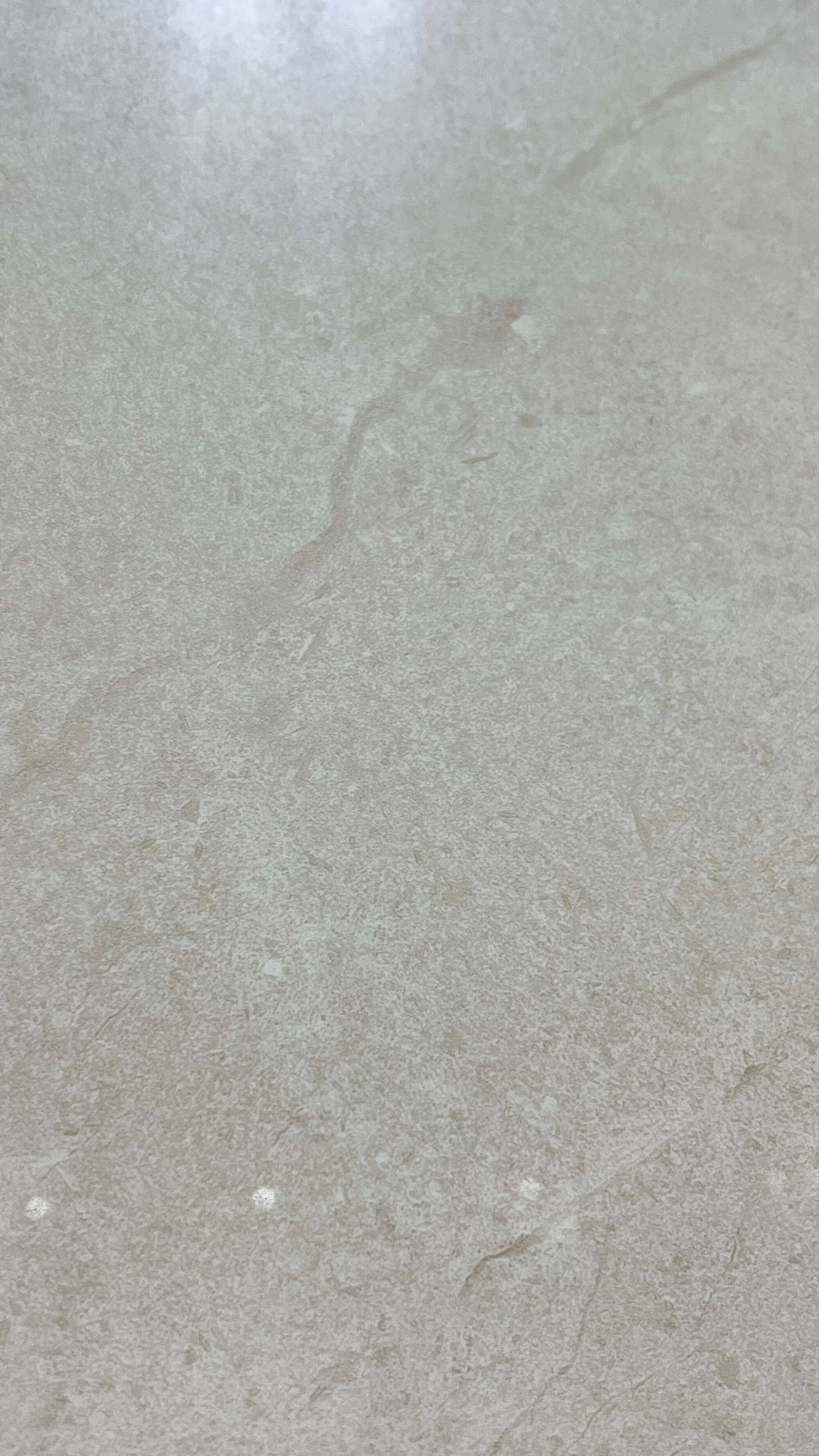 弗雷德 MG12Y03A image 4