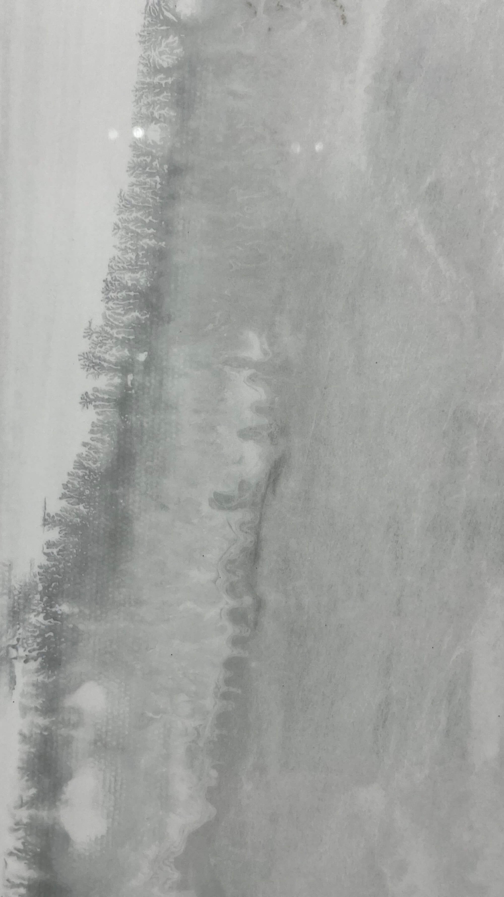 Loris MG12Y30A image 4