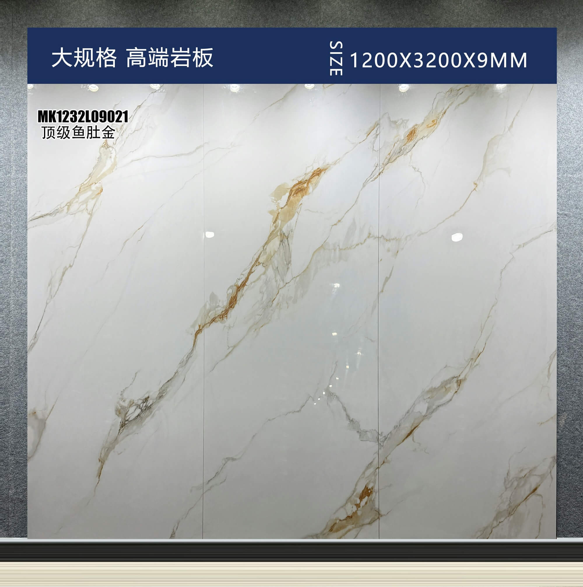 顶级鱼肚金 MK1232L09021 image 2
