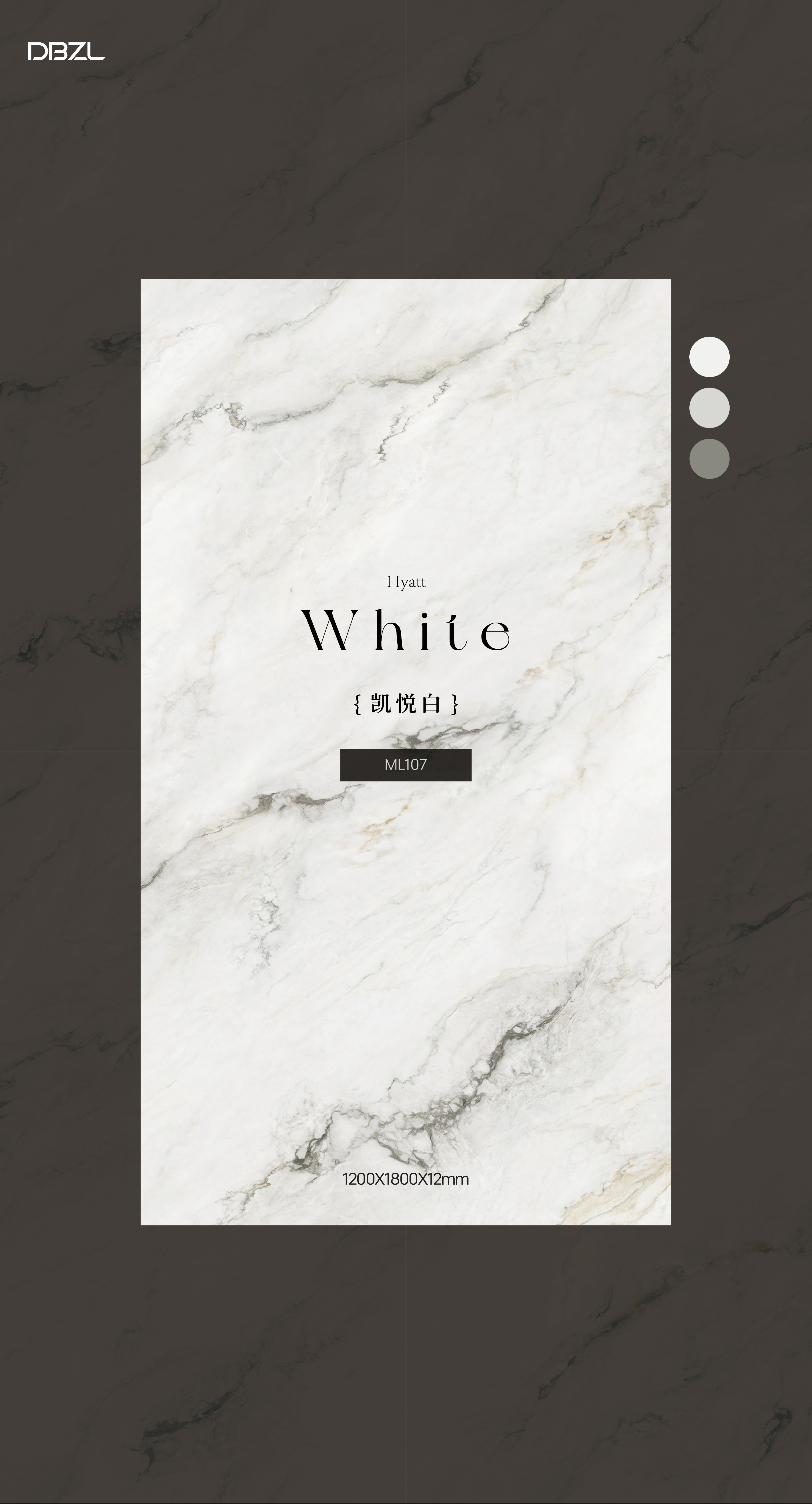 Hyatt white ML107 image 2